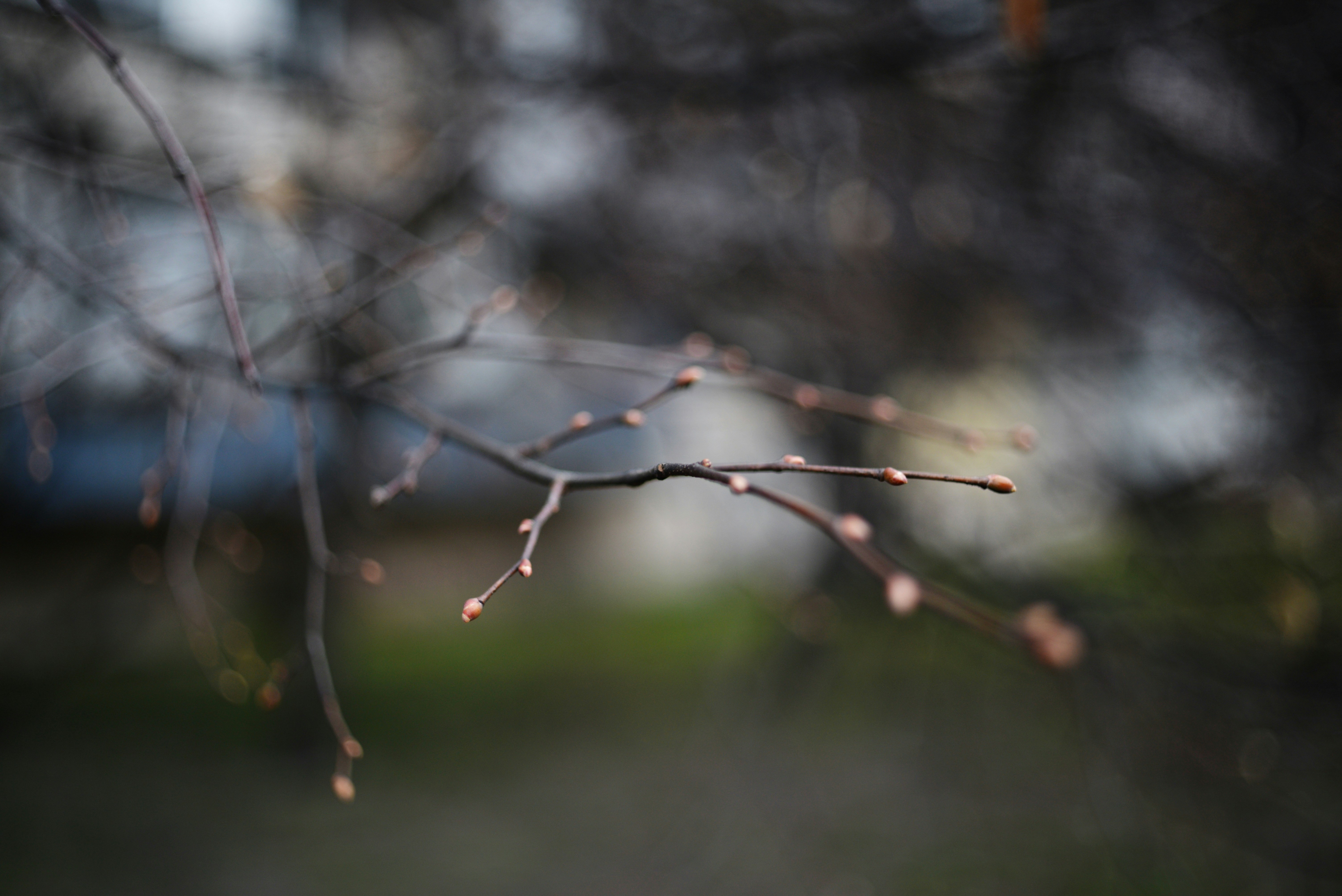 Photo by cherstve_pechivo