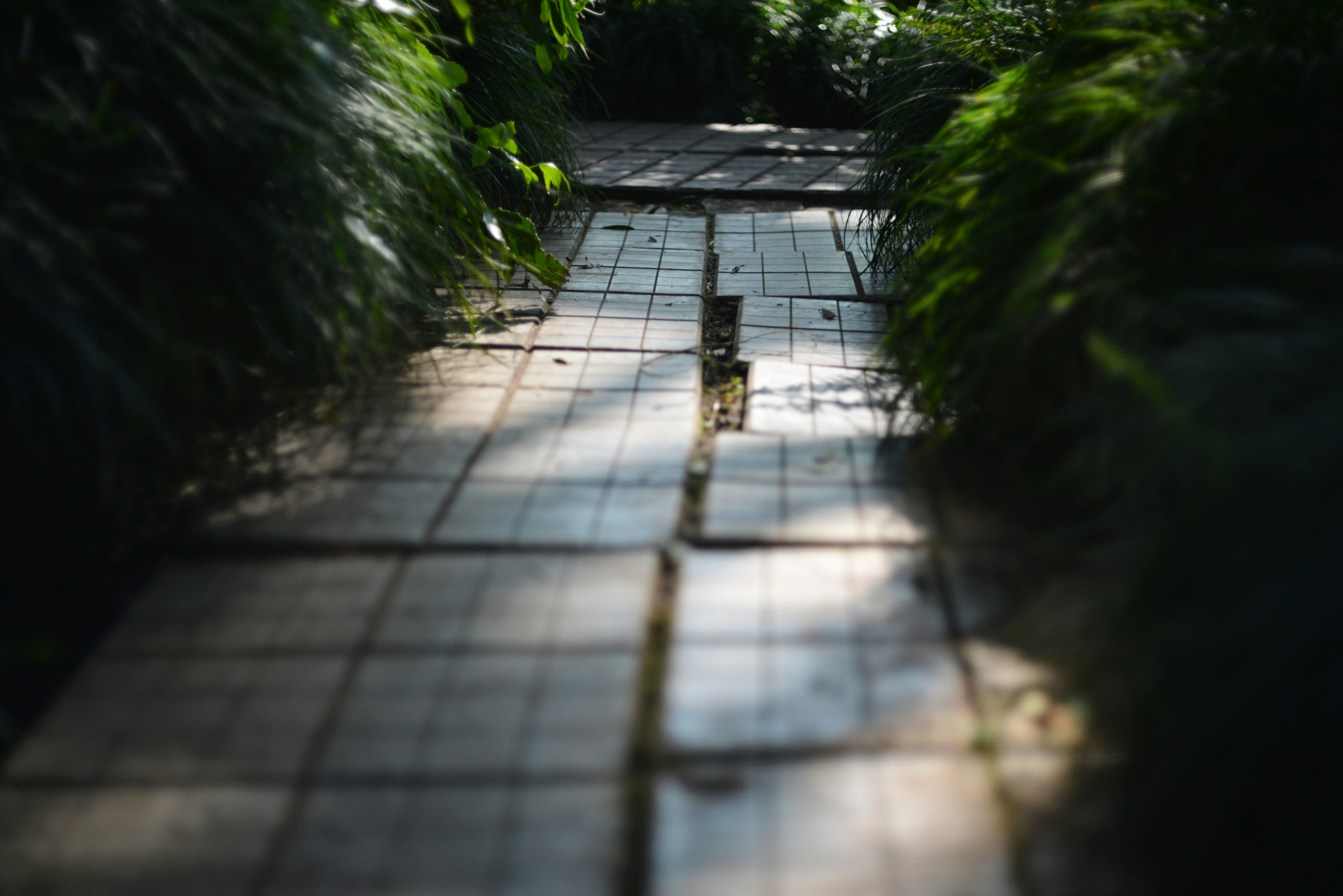 Photo by cherstve_pechivo