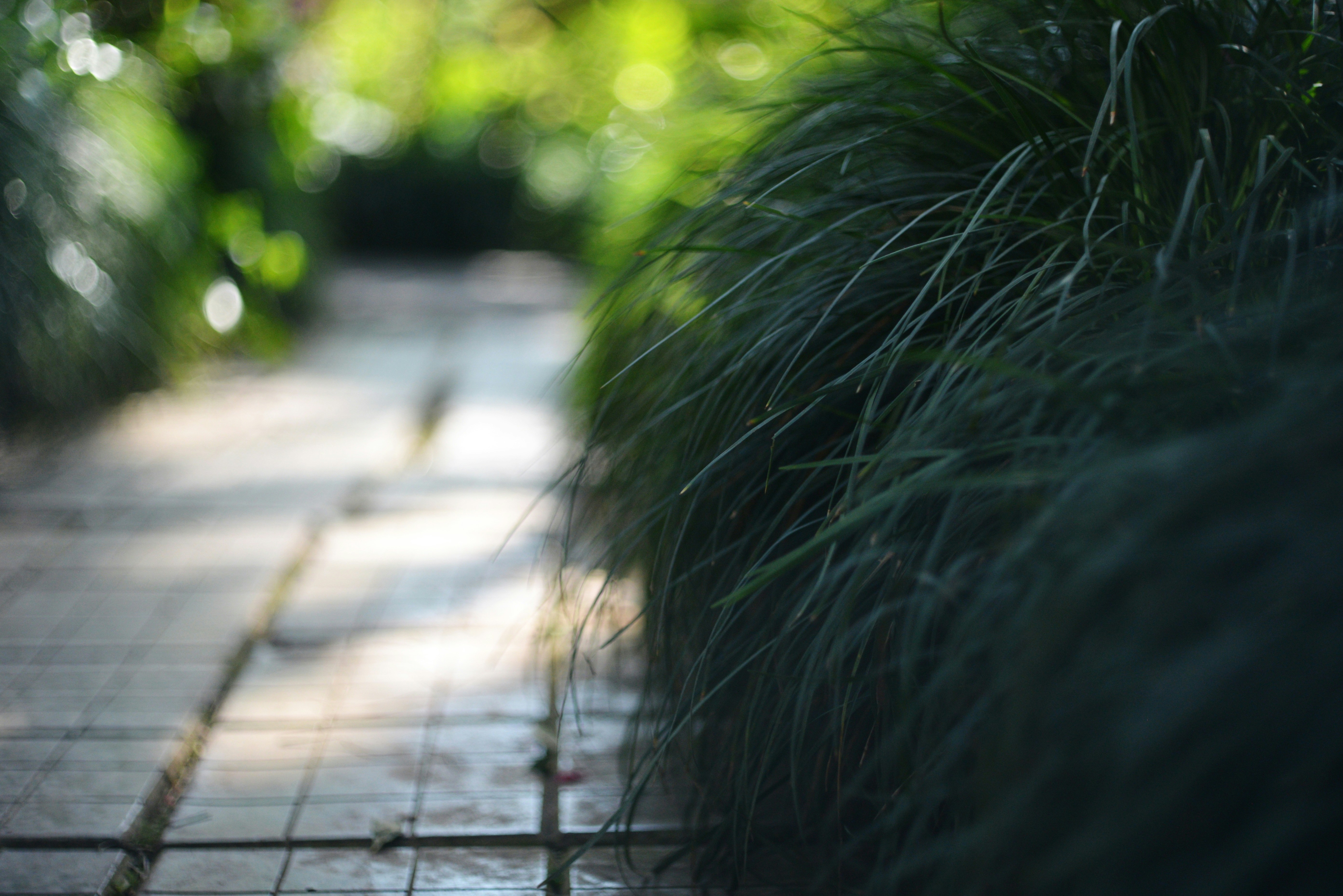 Photo by cherstve_pechivo