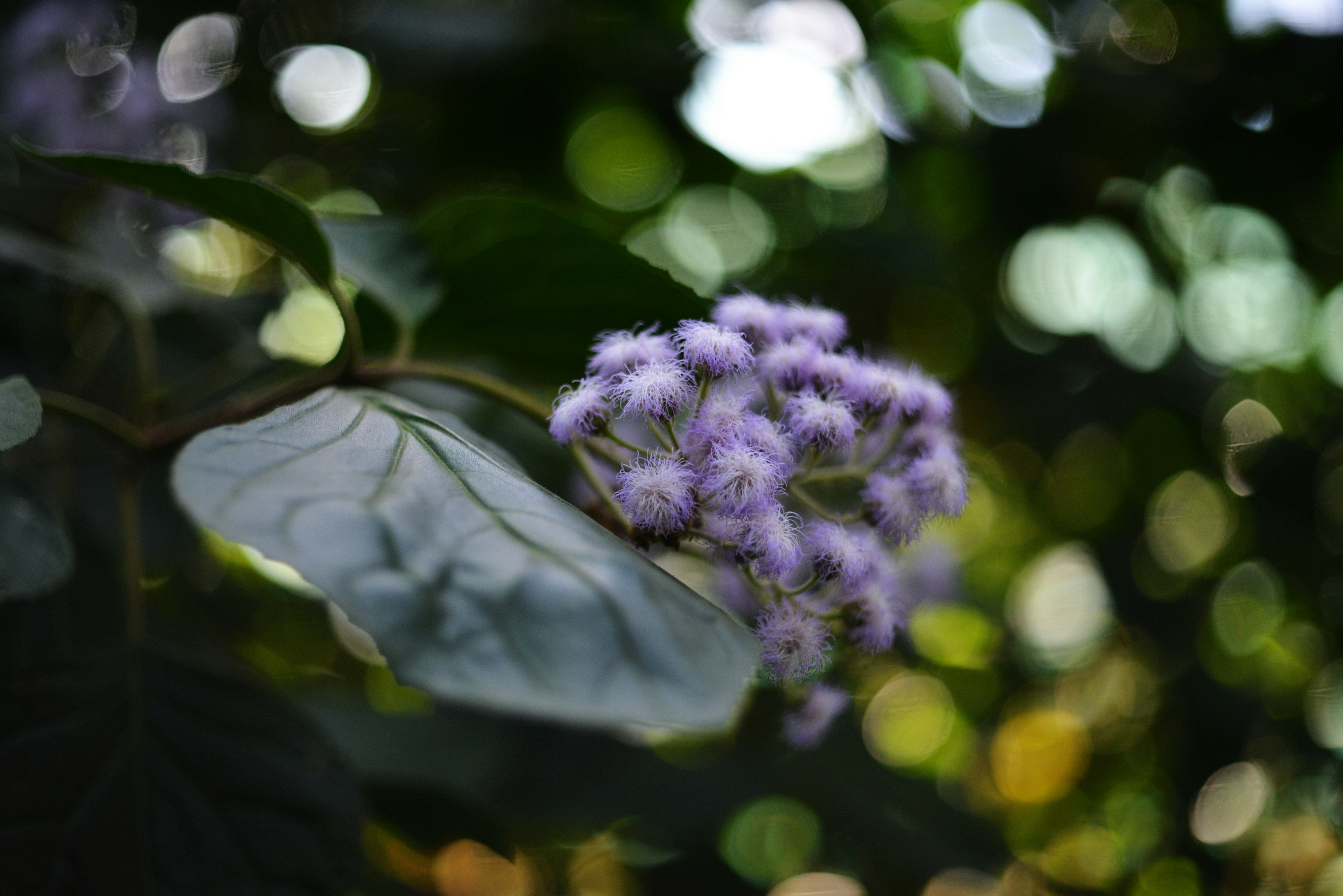 Photo by cherstve_pechivo