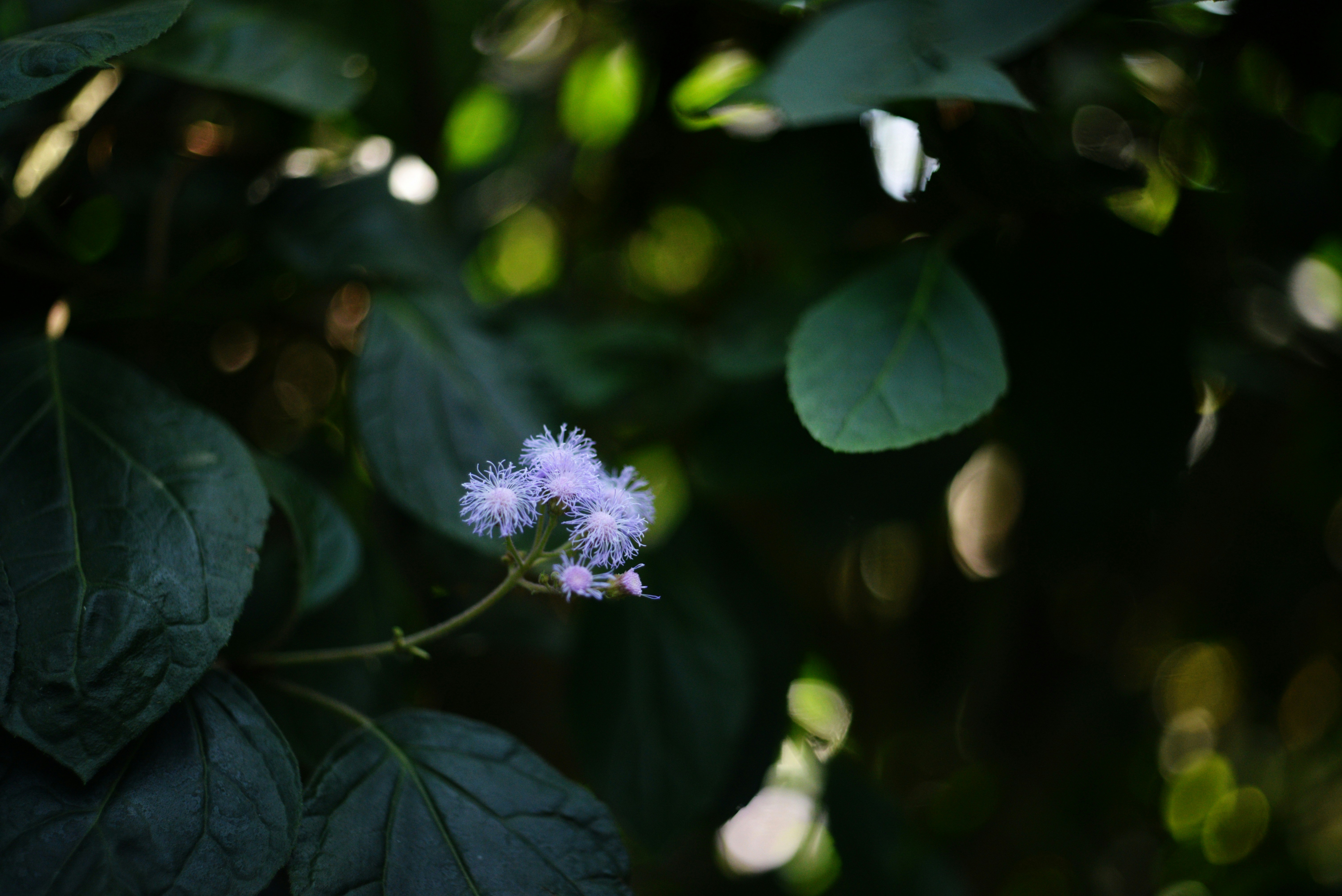 Photo by cherstve_pechivo