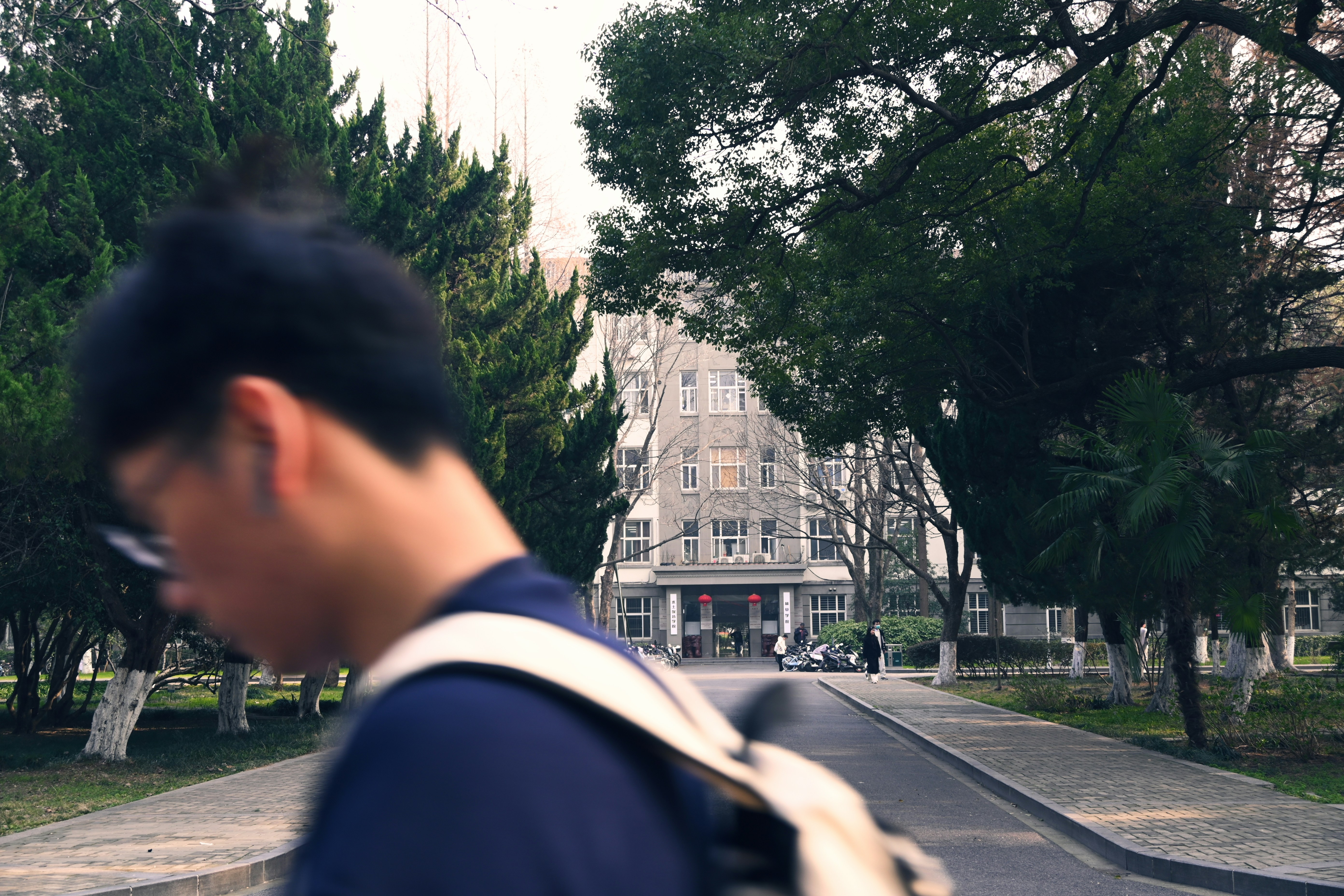 O Papel da Amígdala Cerebral na Ansiedade: Entendendo o Centro de Medo do Cérebro