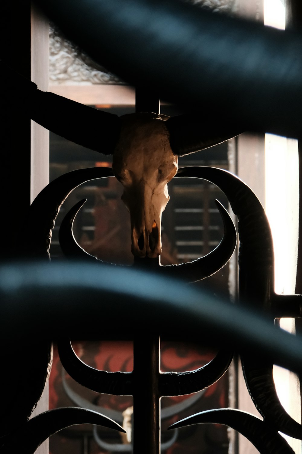 a cow's head sticking out of a metal gate