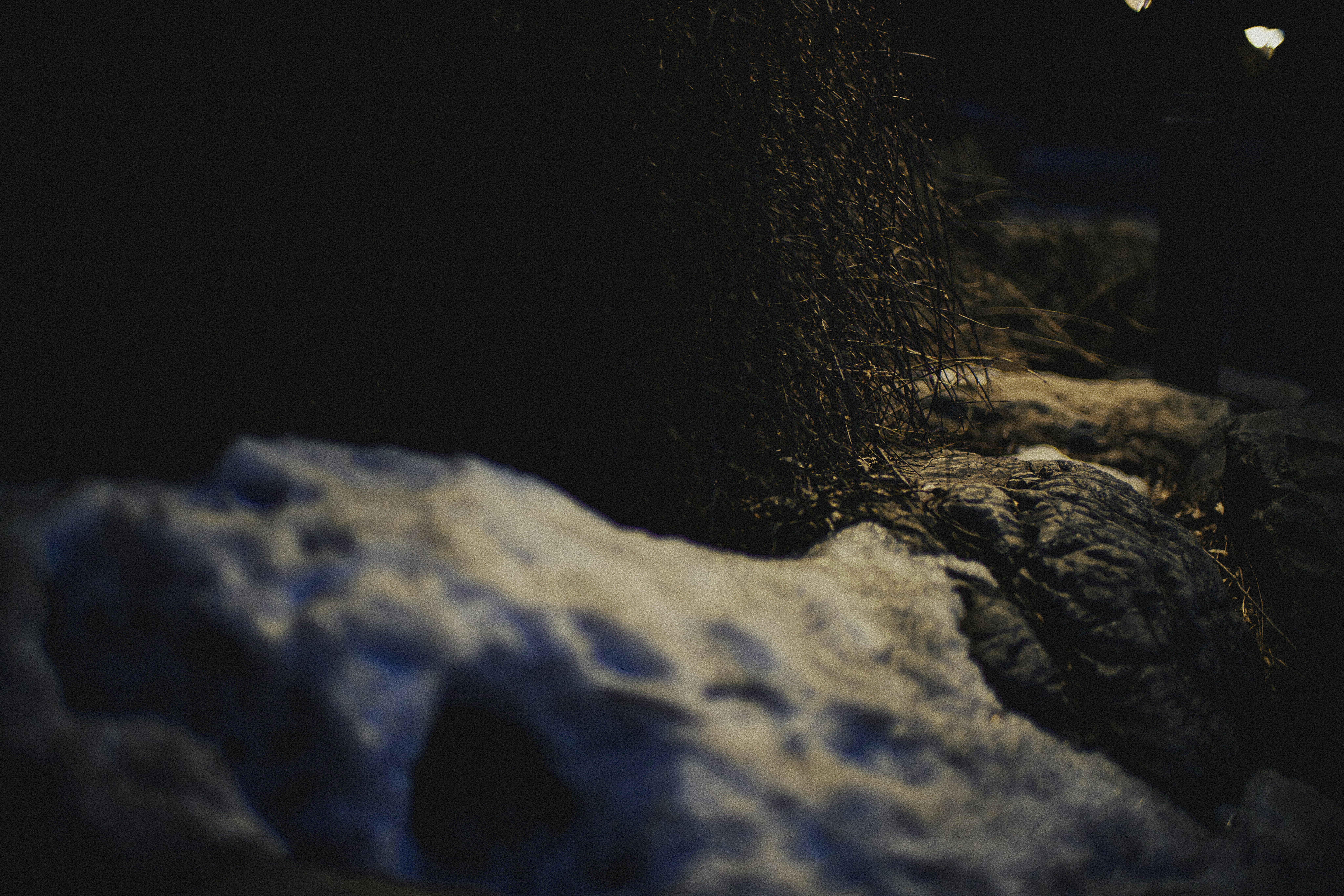 A street light sitting next to a tree covered in snow photo – Free ...