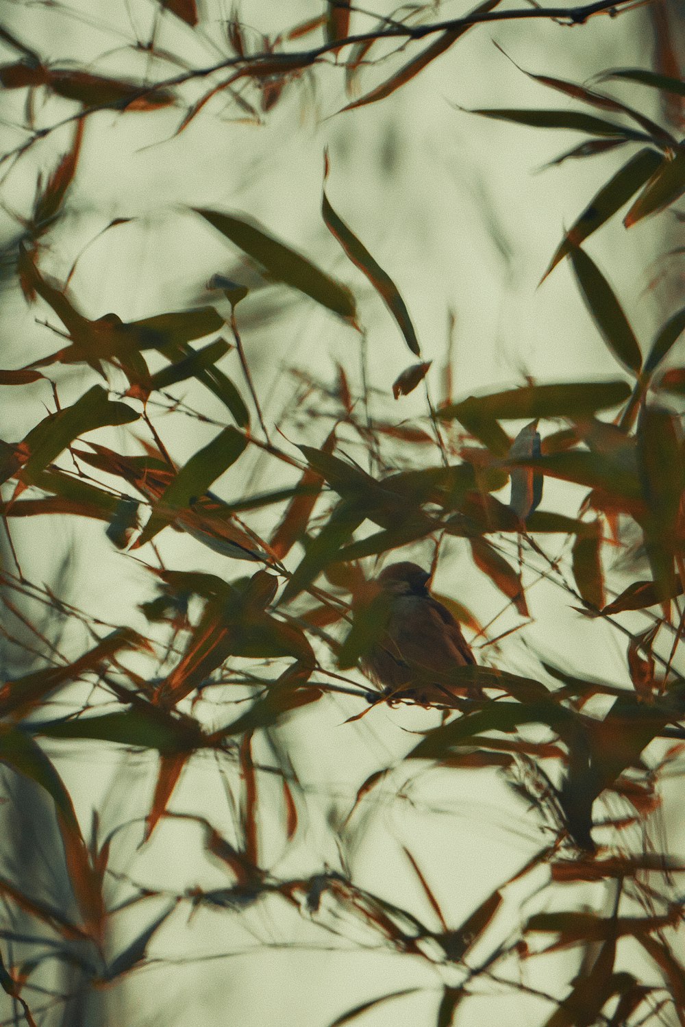 a small bird sitting on top of a tree branch