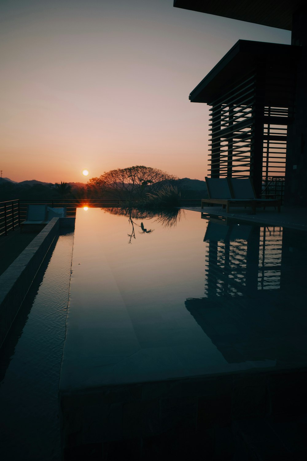 a bird standing on the edge of a pool at sunset
