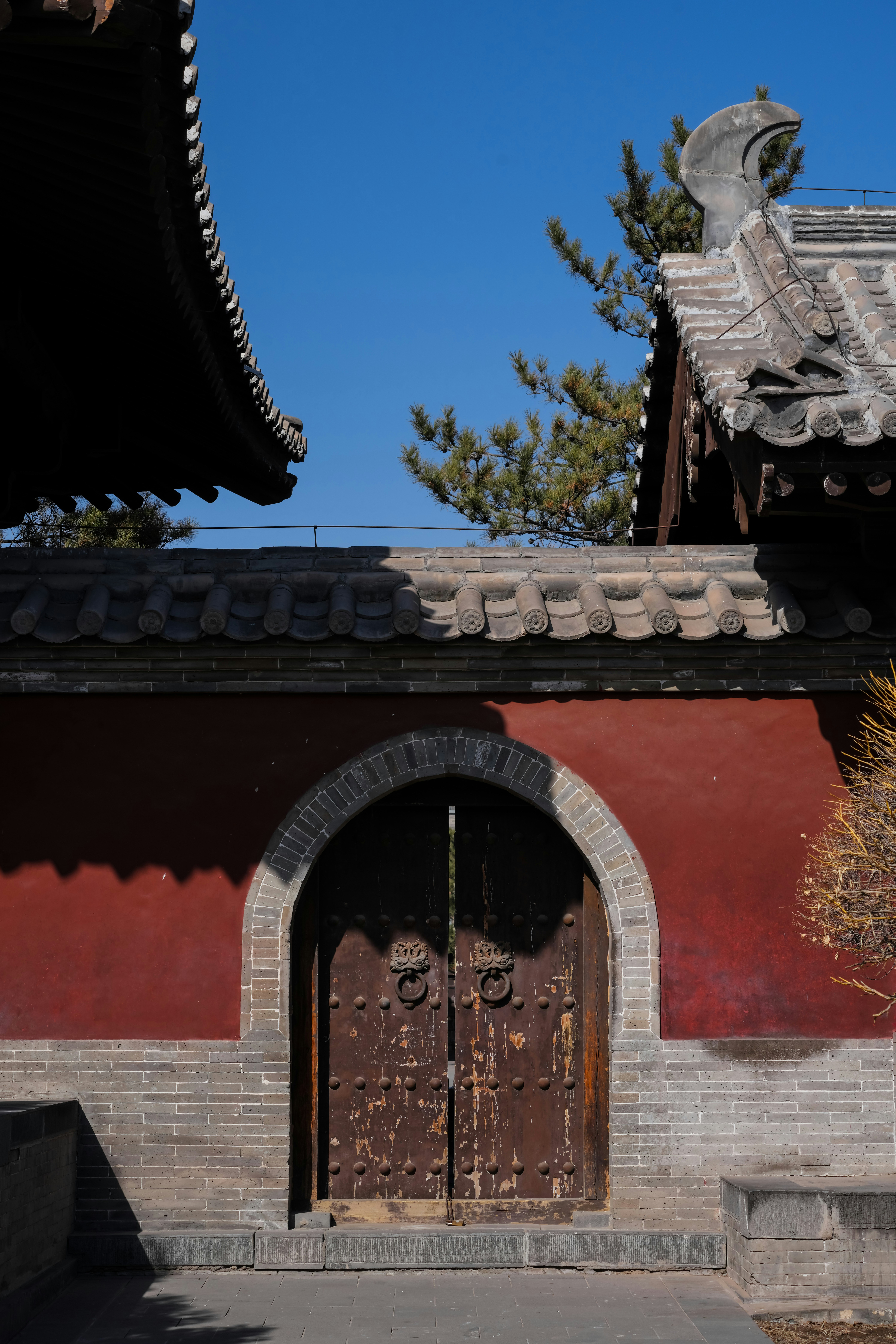 Photo by hattrick1996