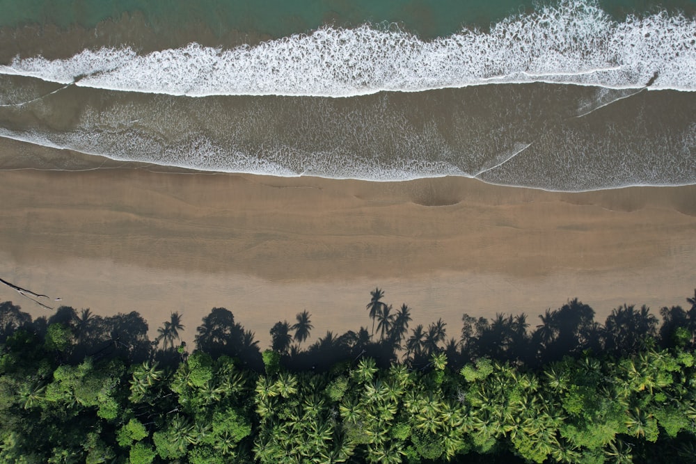 an aerial view of a sandy beach with palm trees