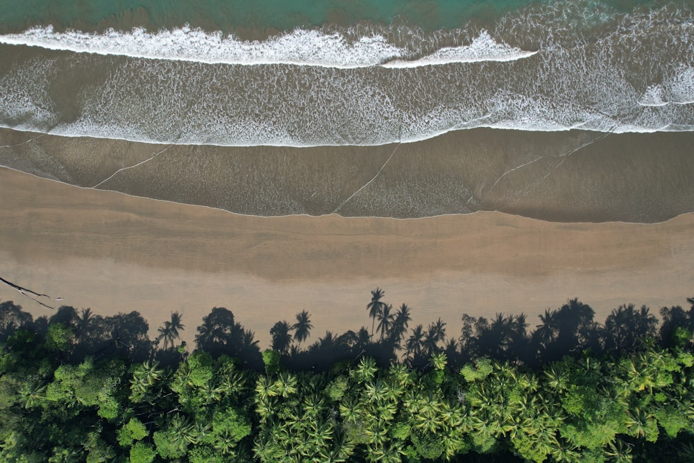 an aerial view of a sandy beach with palm trees