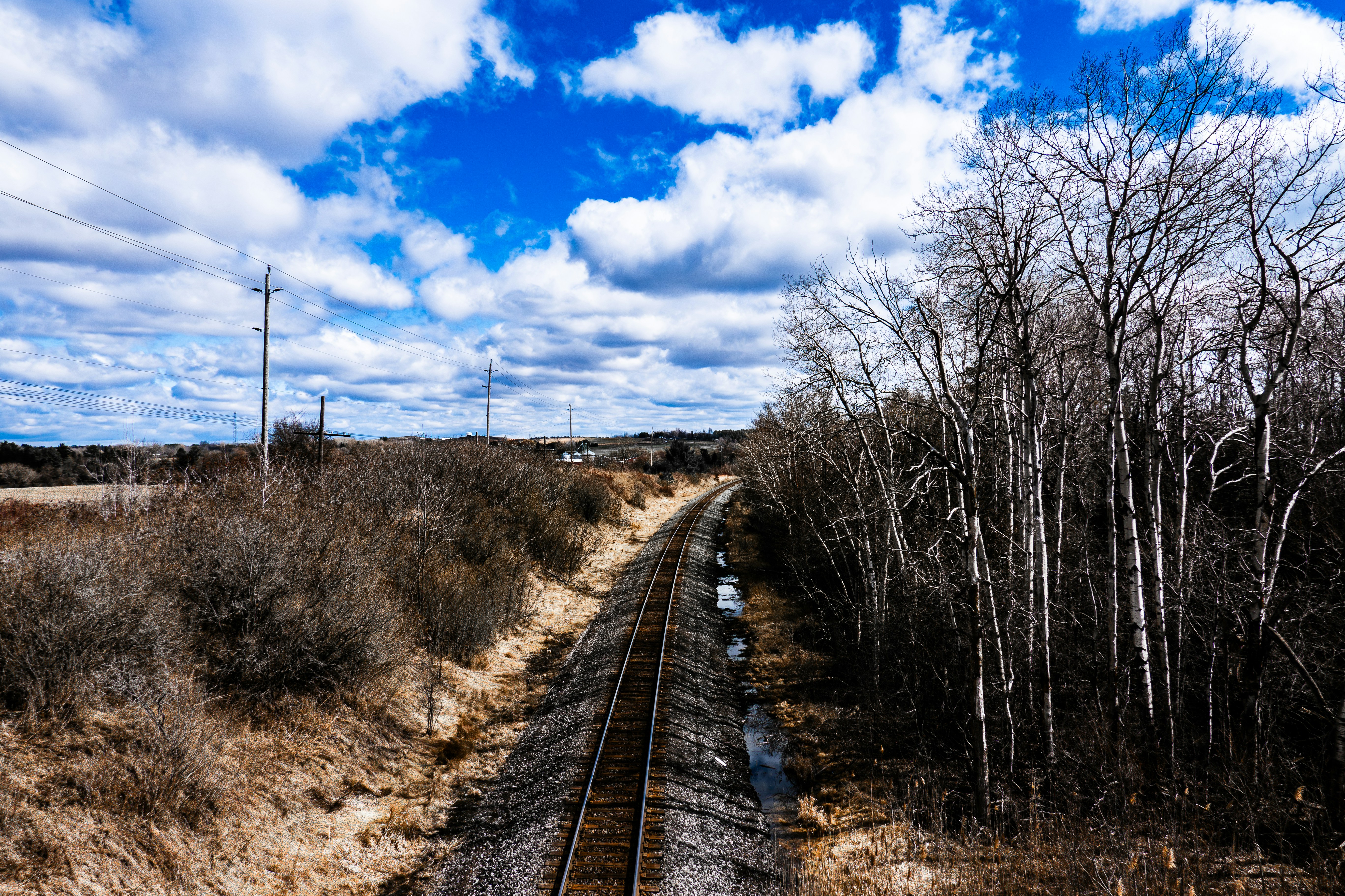 Photo by chris_robert