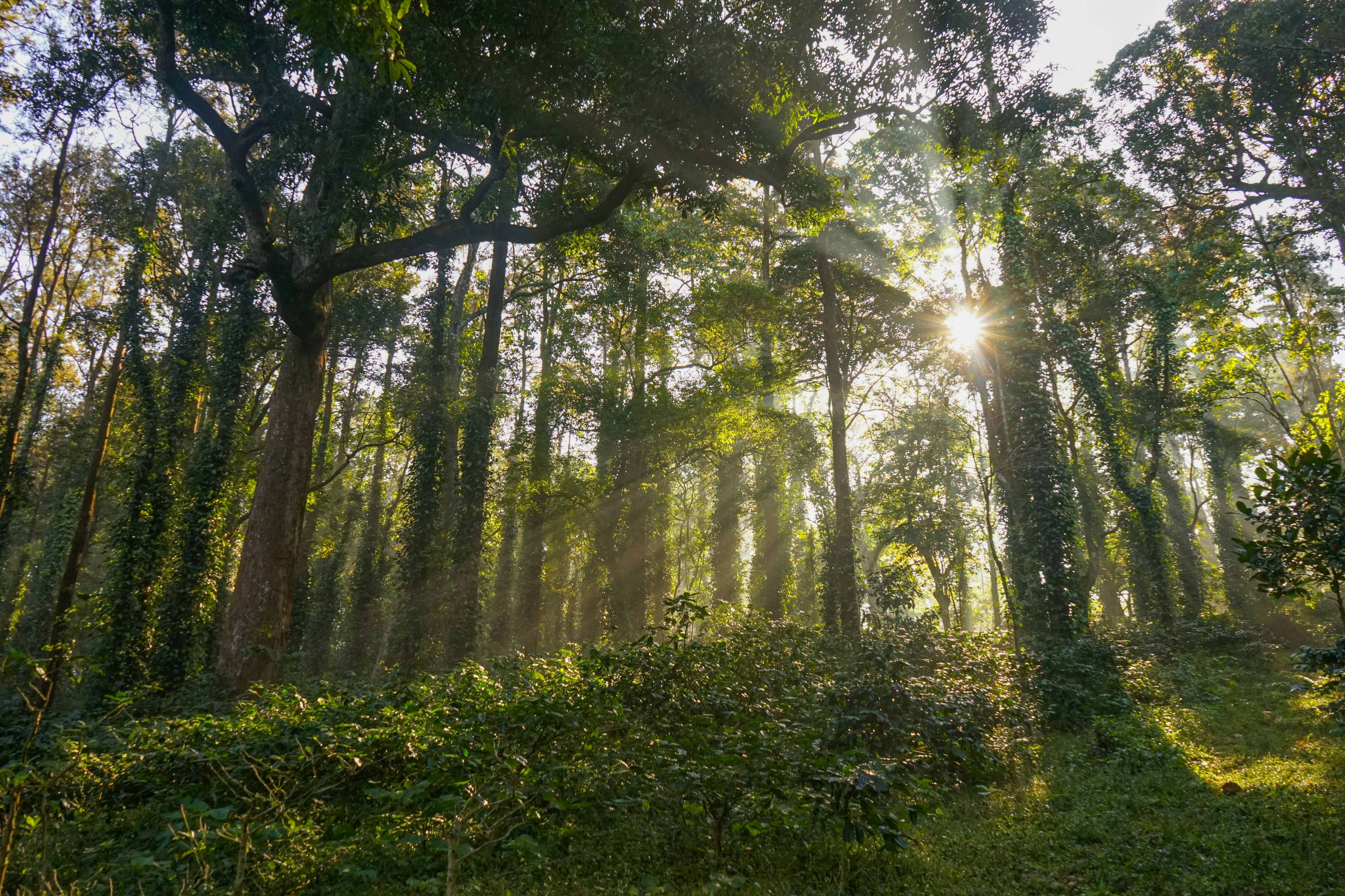 Photo by jai_sumanth_365