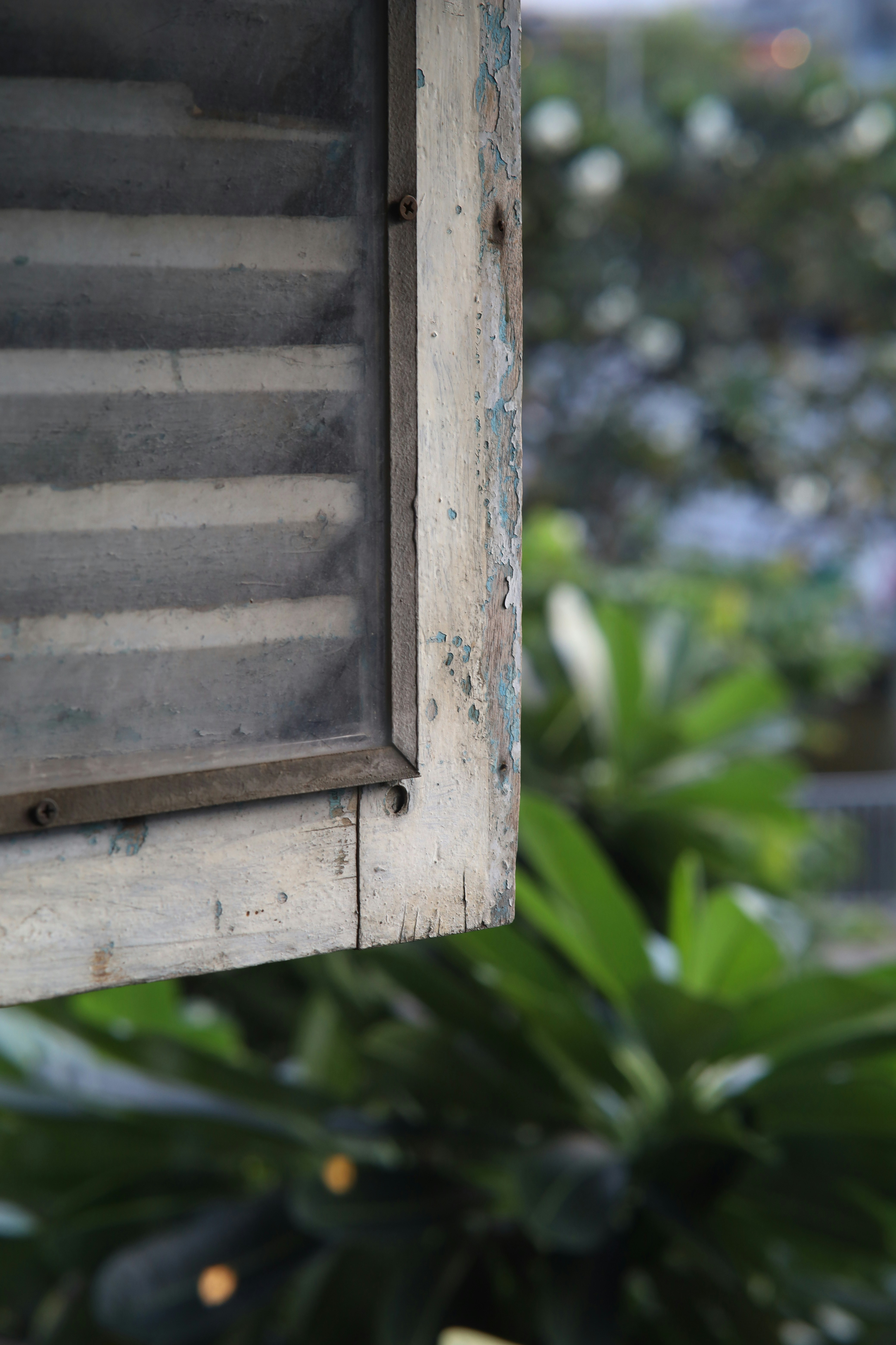 Photo by tranquangphu