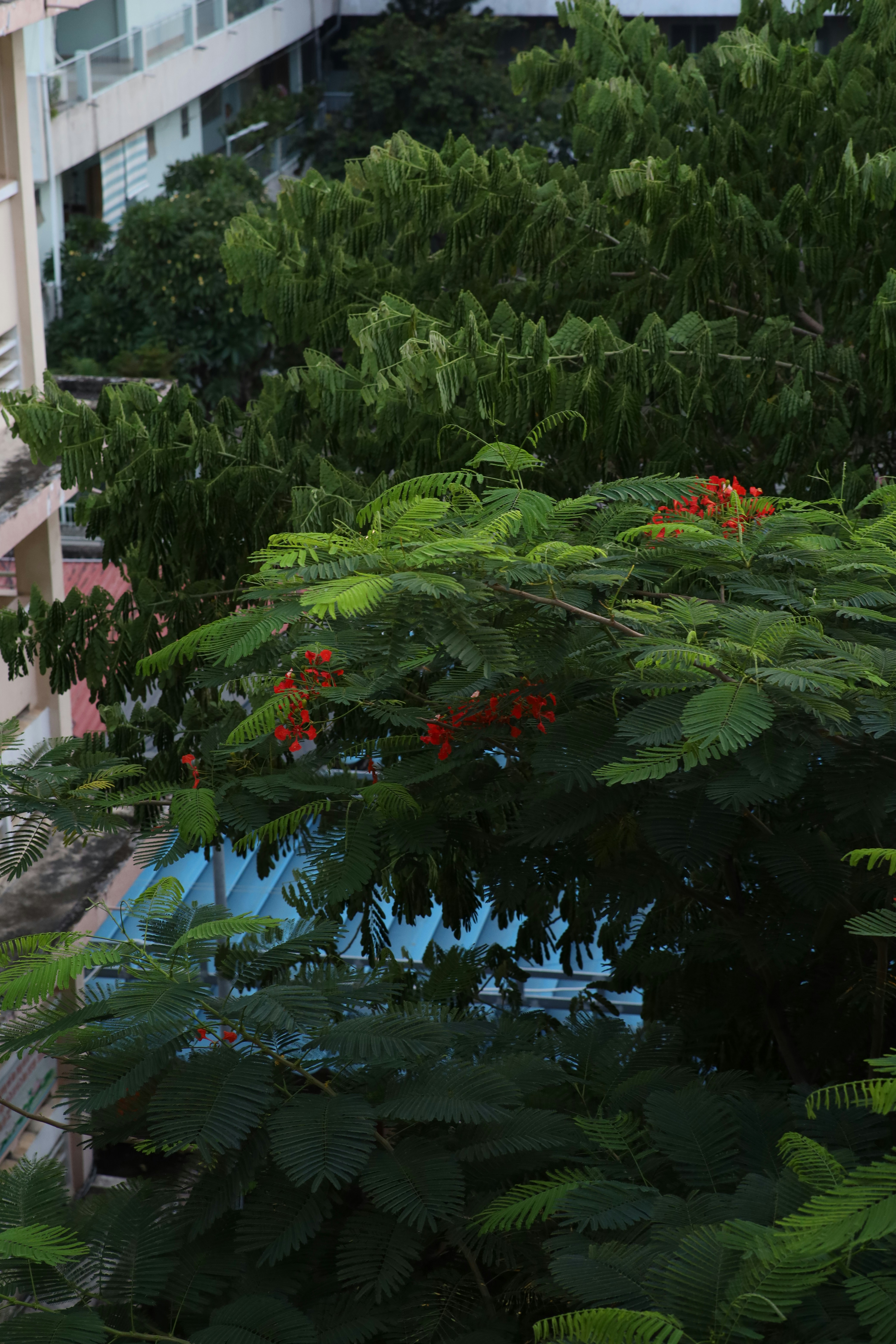 Photo by tranquangphu