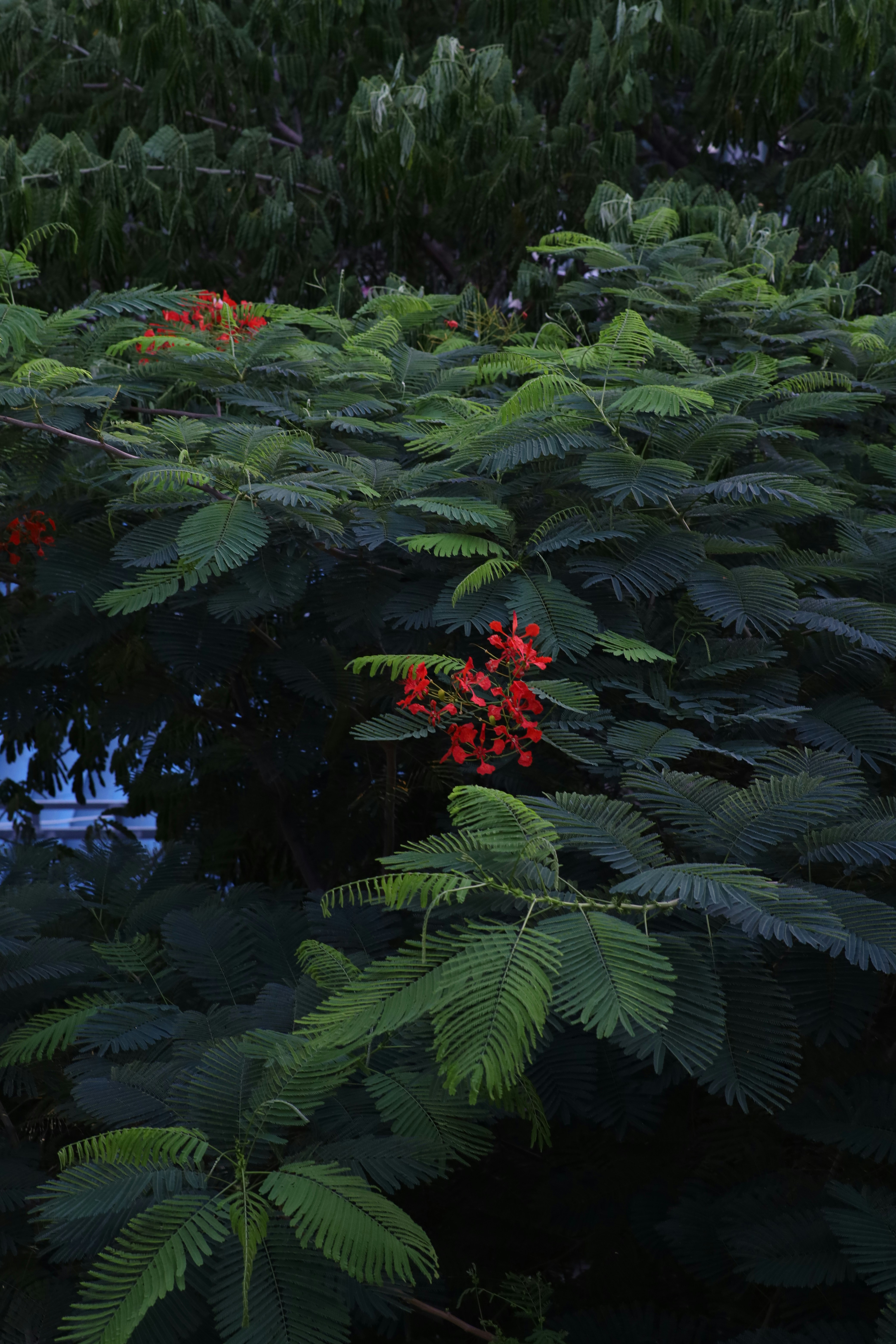 a bunch of plants that are next to a body of water