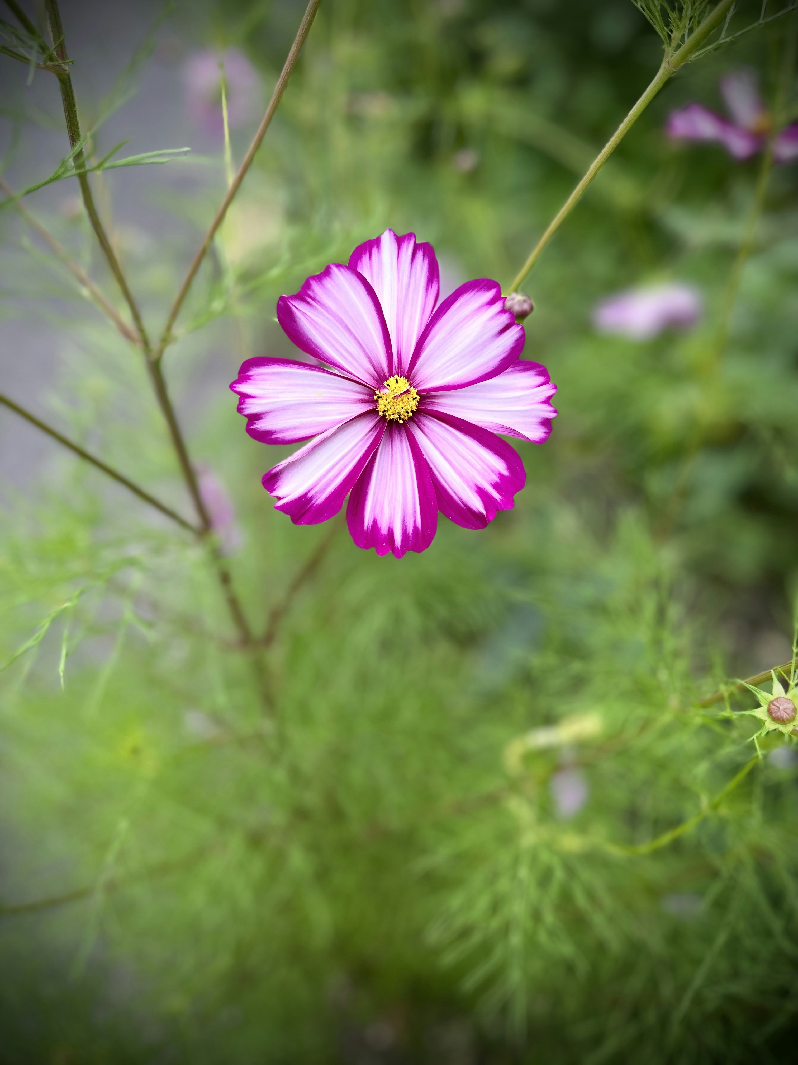 Photo by dustie_houchin