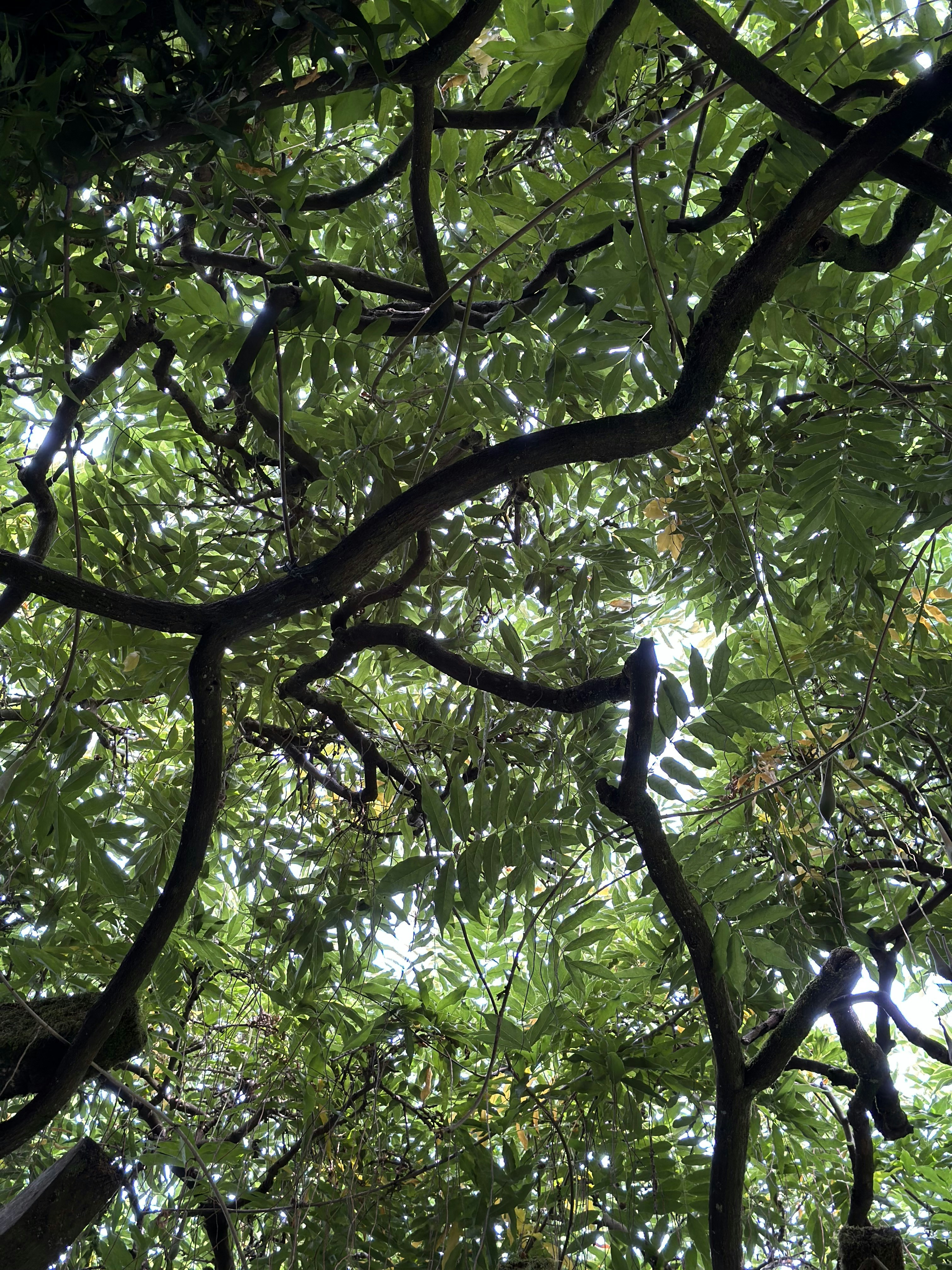 Photo by dustie_houchin