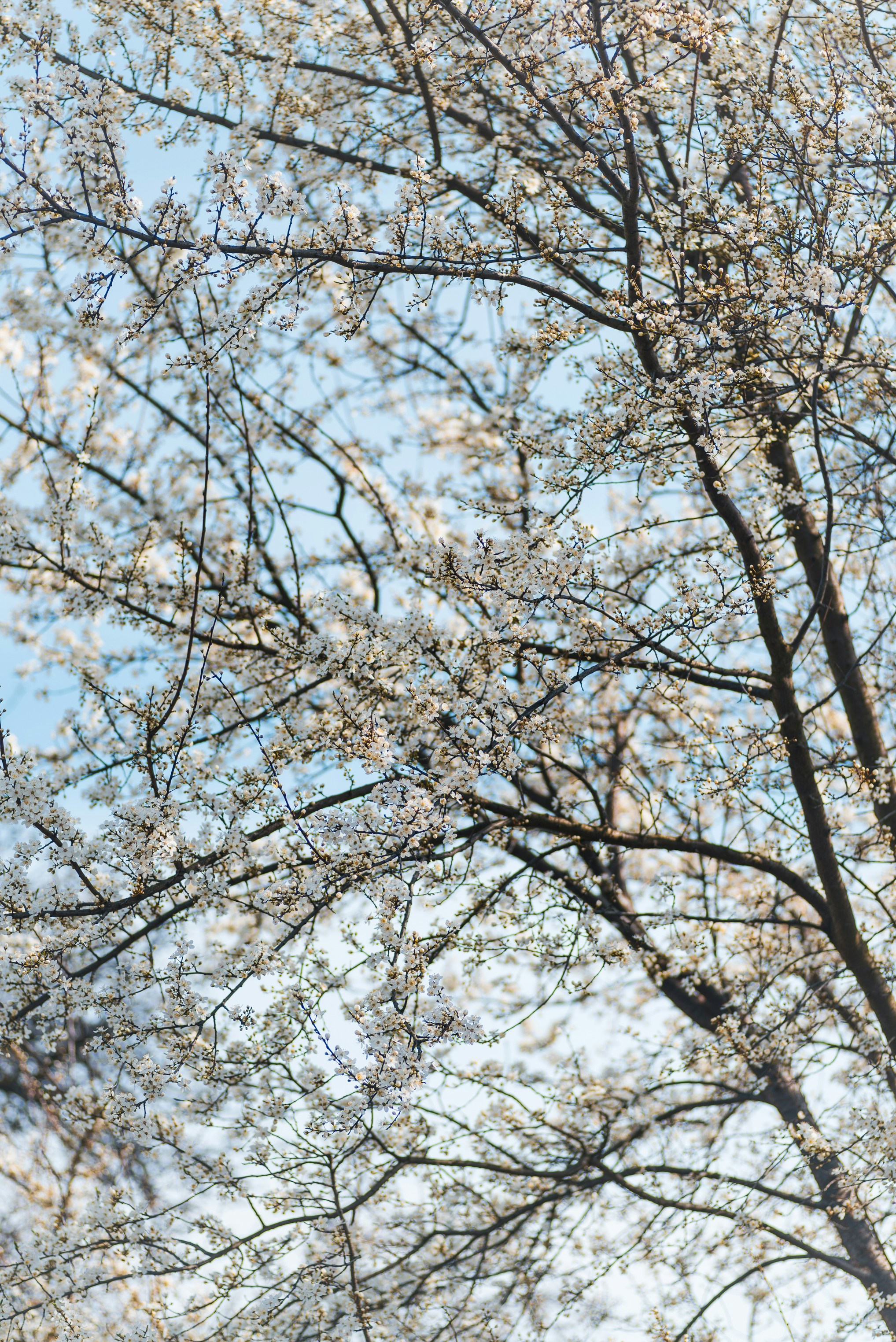 Photo by anastazjakp