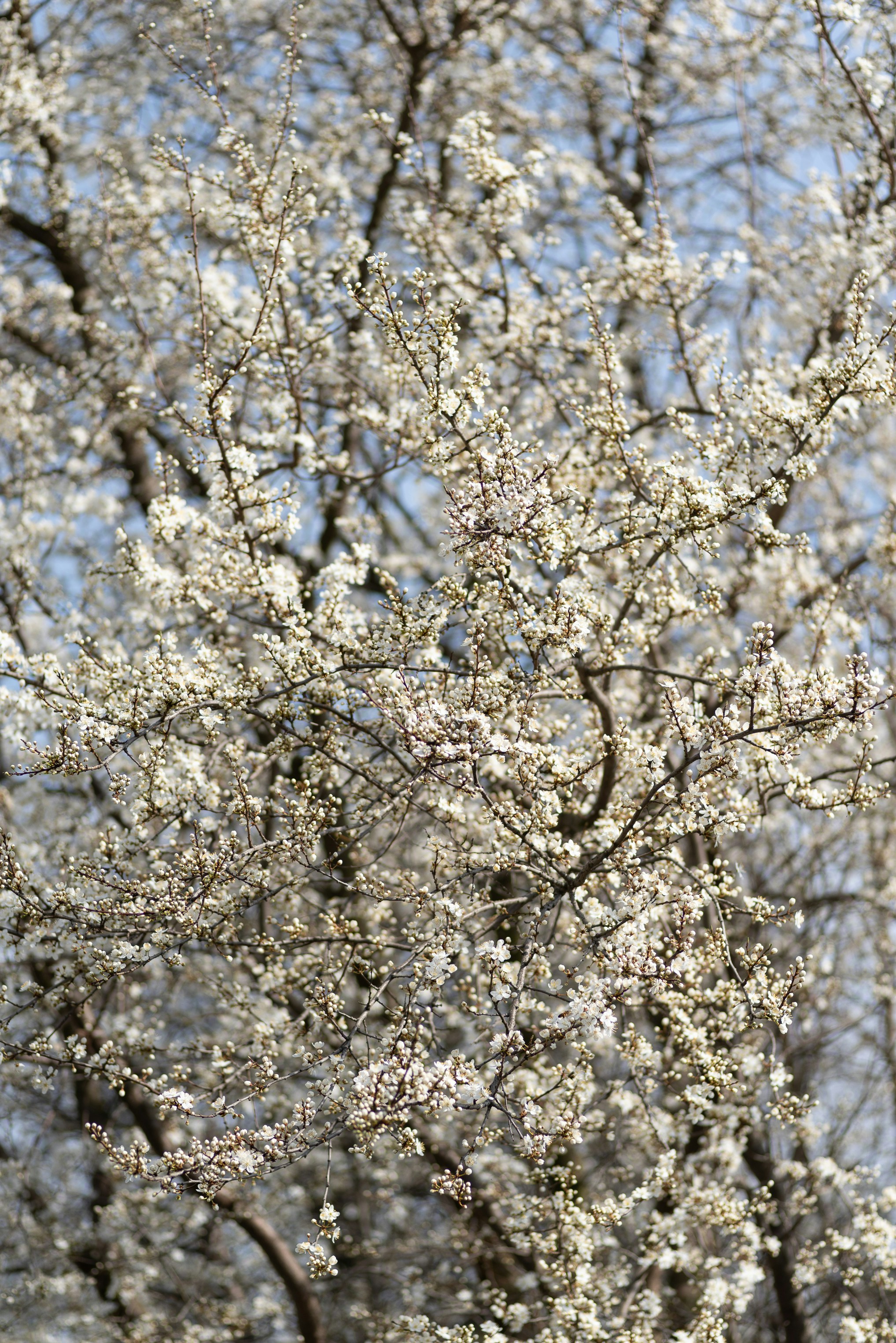 Photo by anastazjakp