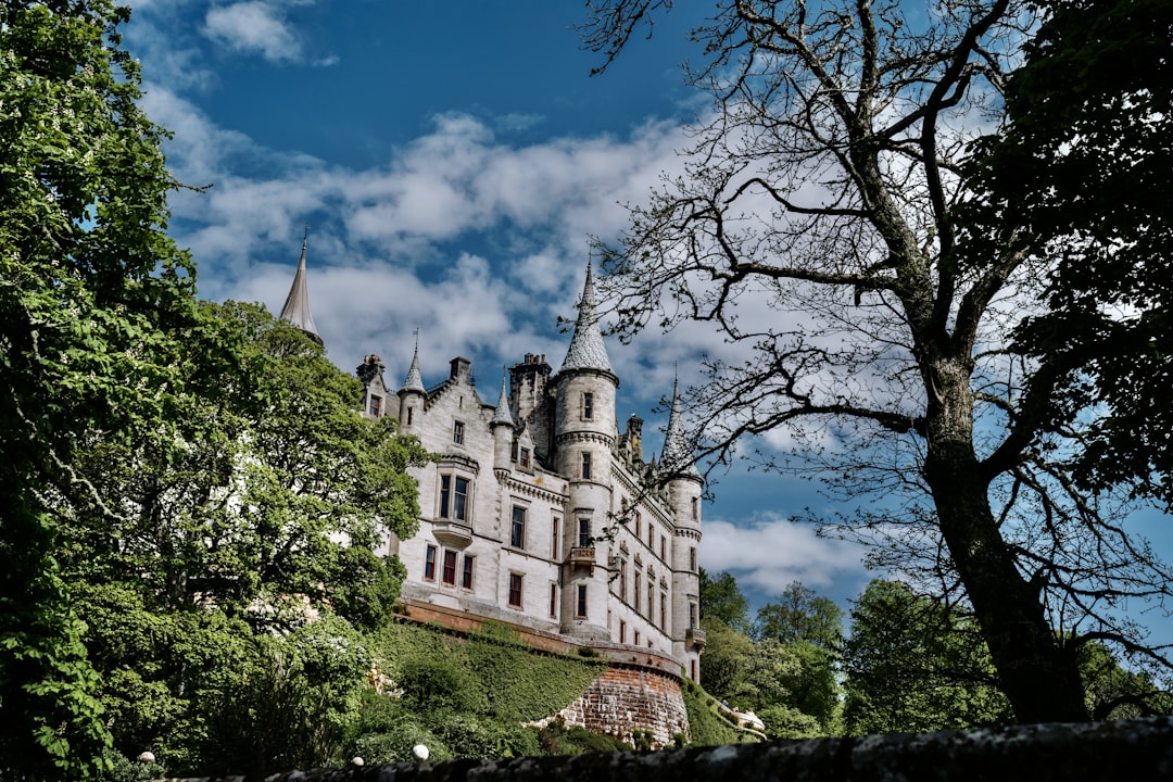 a large castle sitting on top of a lush green hillside,