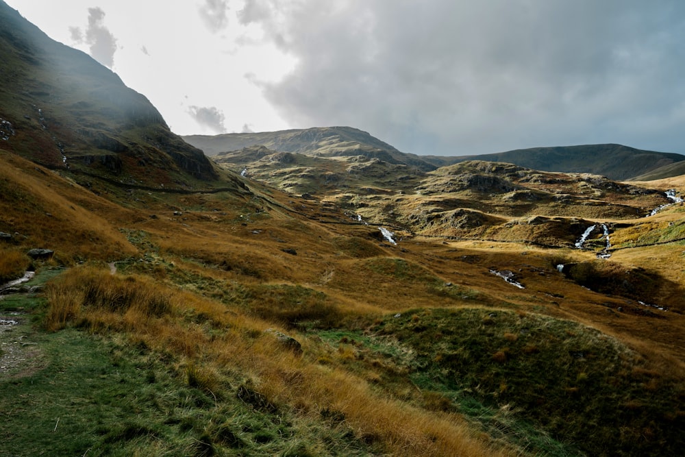 Blick auf ein grasbewachsenes Tal mit Bergen im Hintergrund