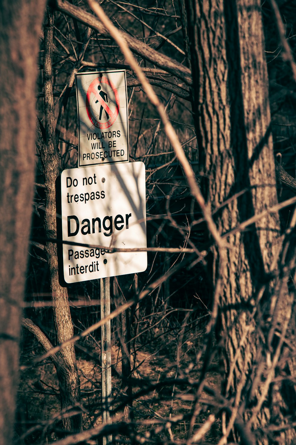 Un cartello di divieto di sconfinamento in un'area boschiva