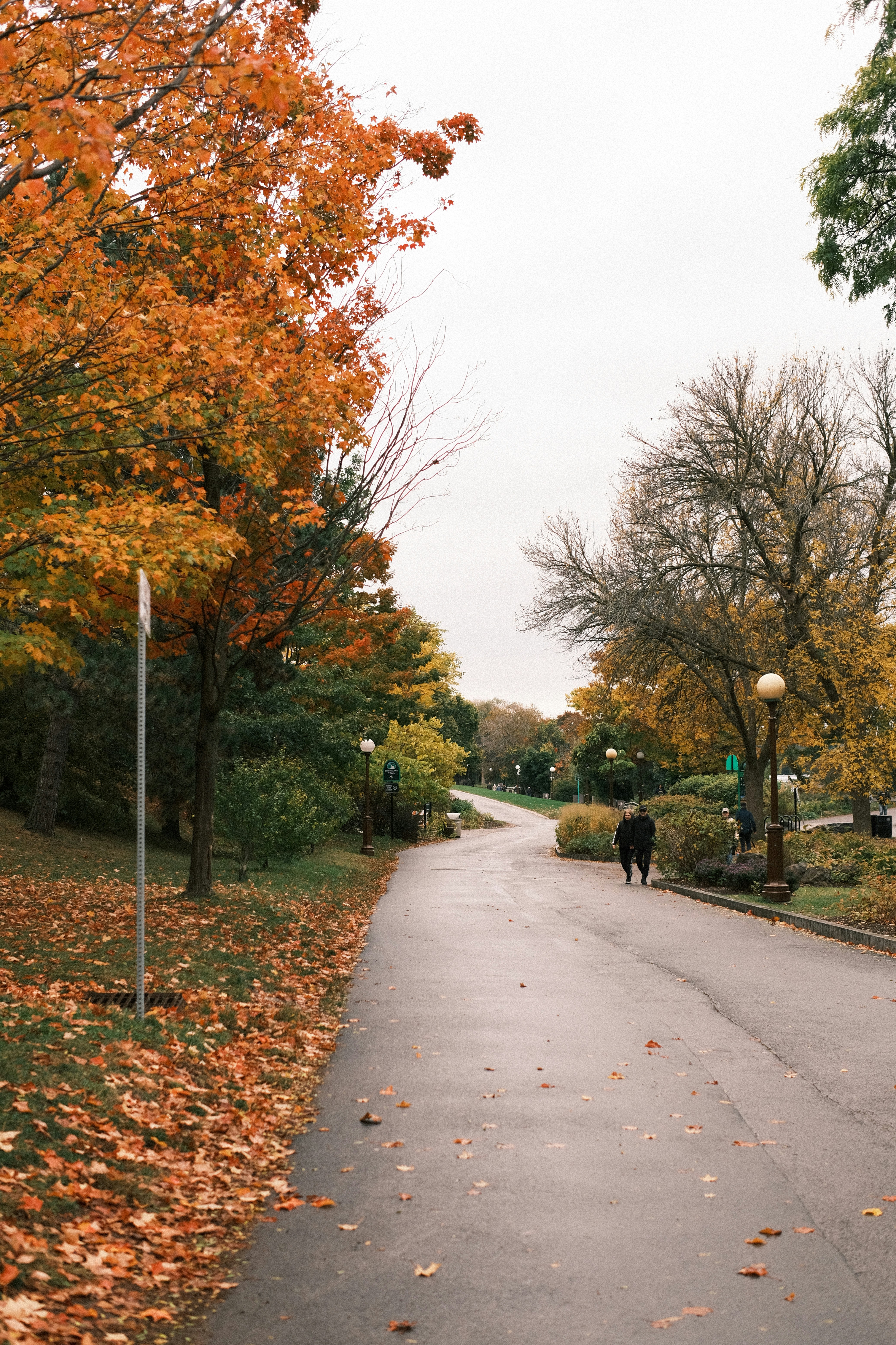 Photo by singhramneek54