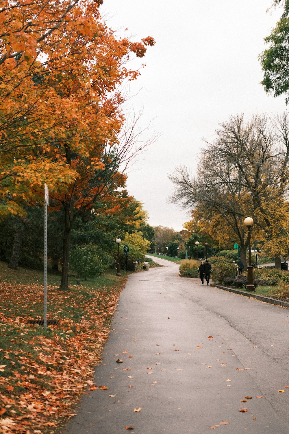 a couple of people walking down a street next to trees