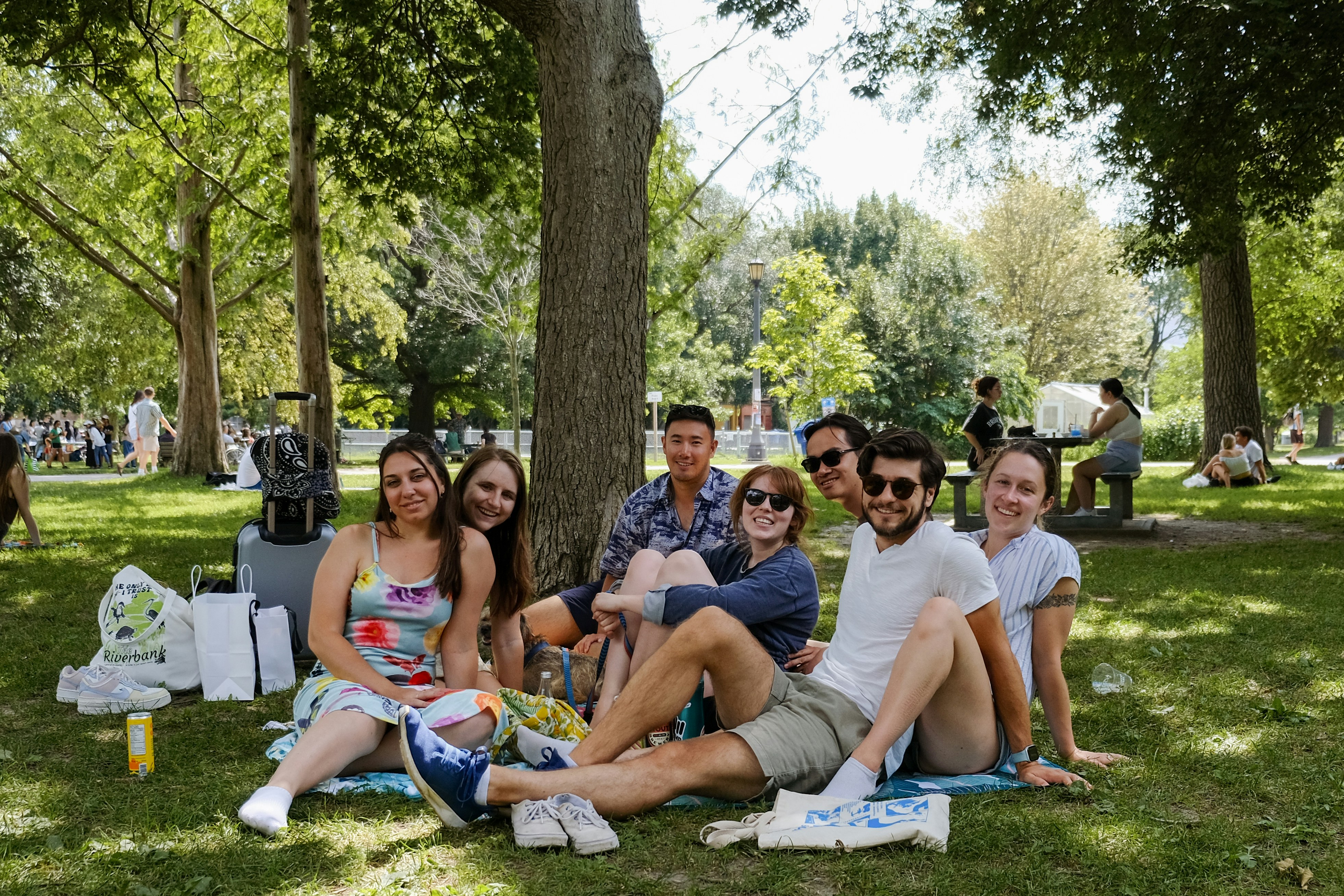 Crowded Chaos vs. Empty Benches: What Your City's Parks Actually Tell You About Where People Want to Be