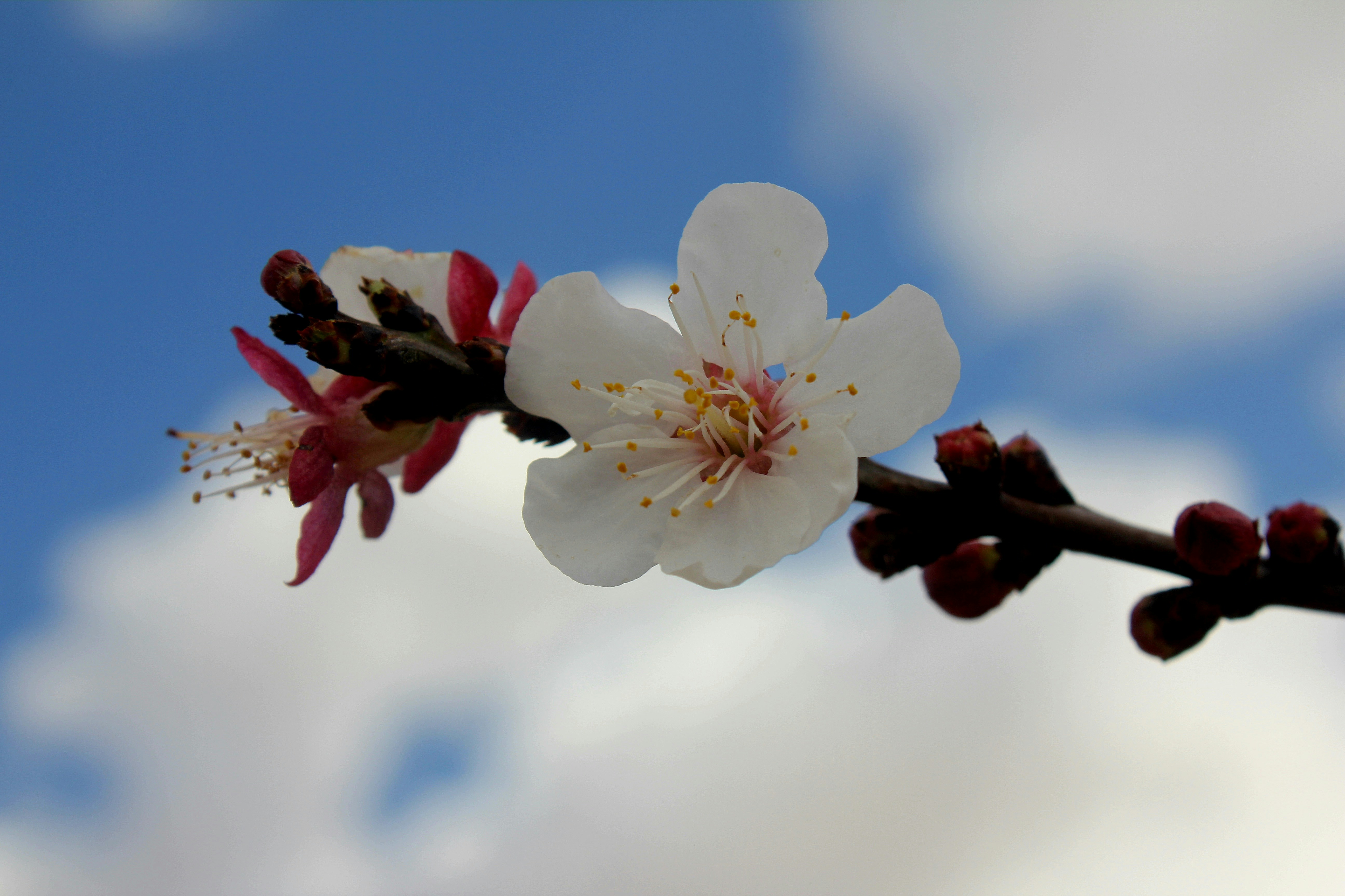 Photo by manavimoghadam