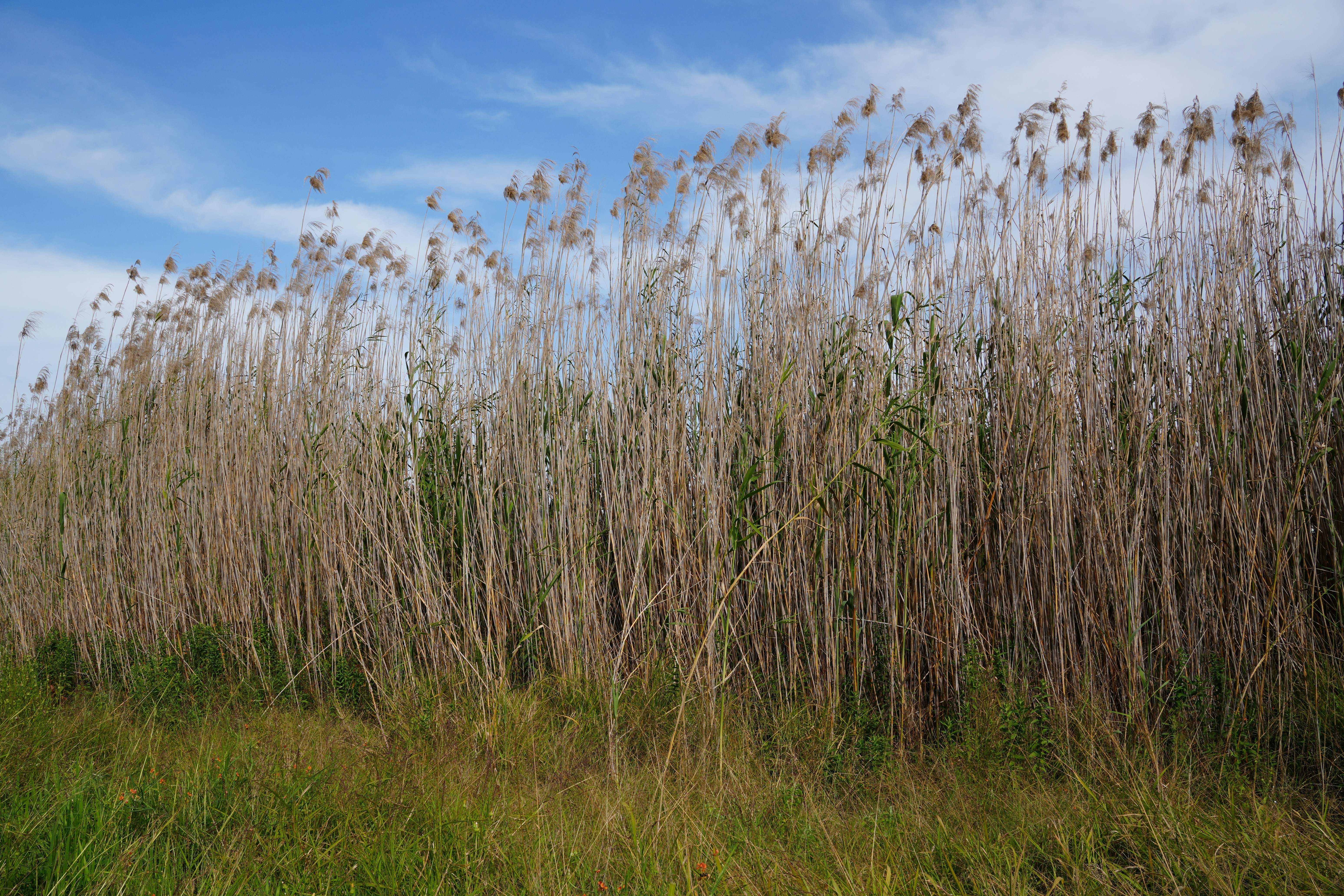 Photo by dm8ryphotos