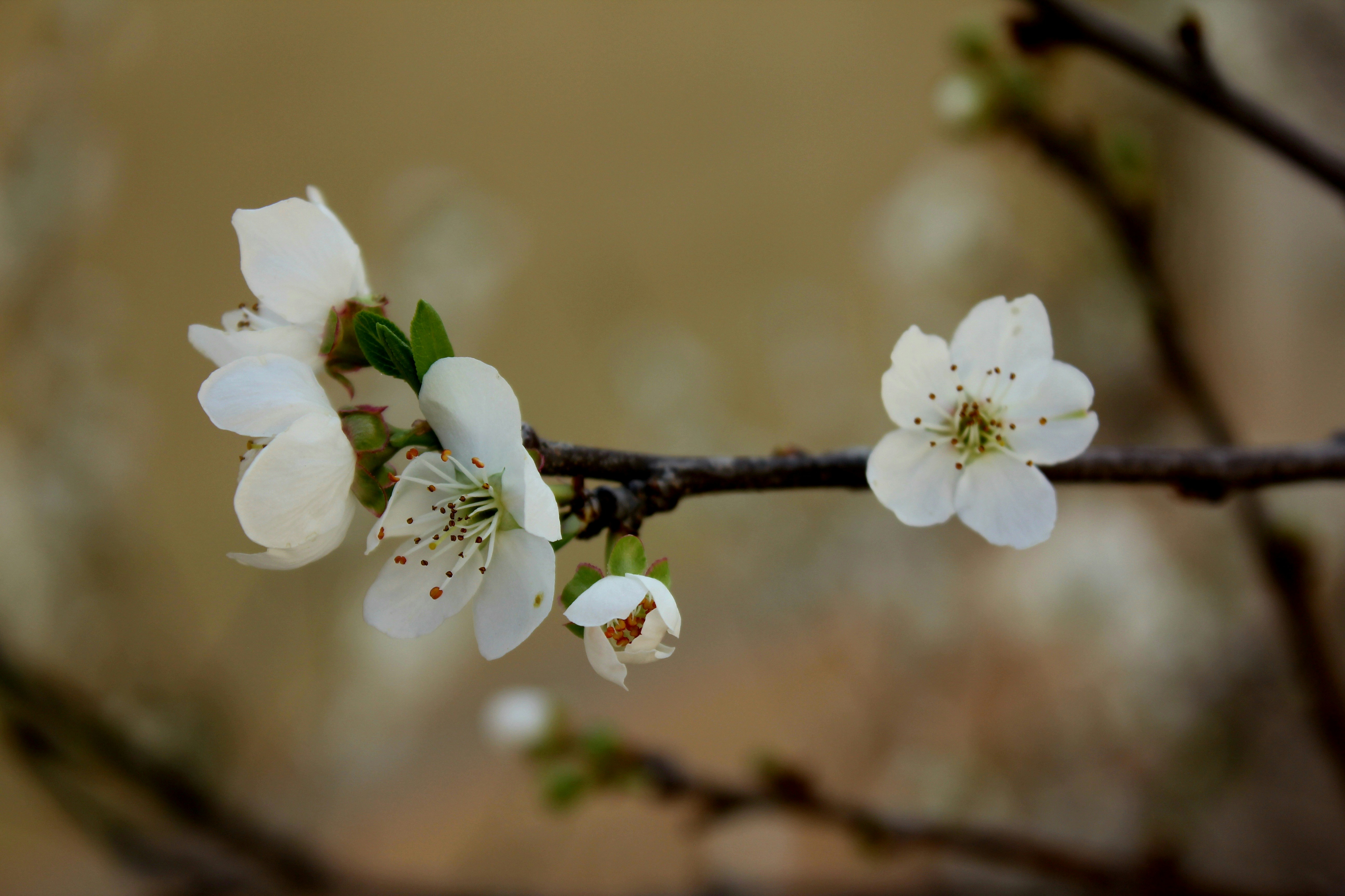 Photo by manavimoghadam