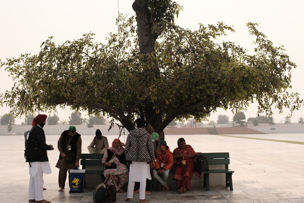 a group of people sitting on a bench under a tree