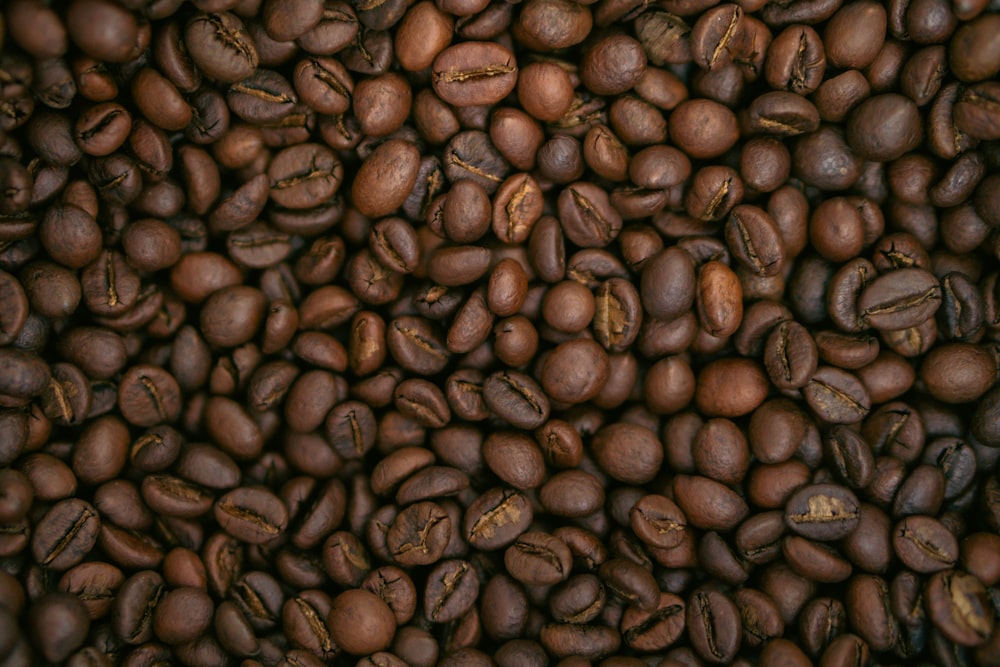 a pile of roasted coffee beans