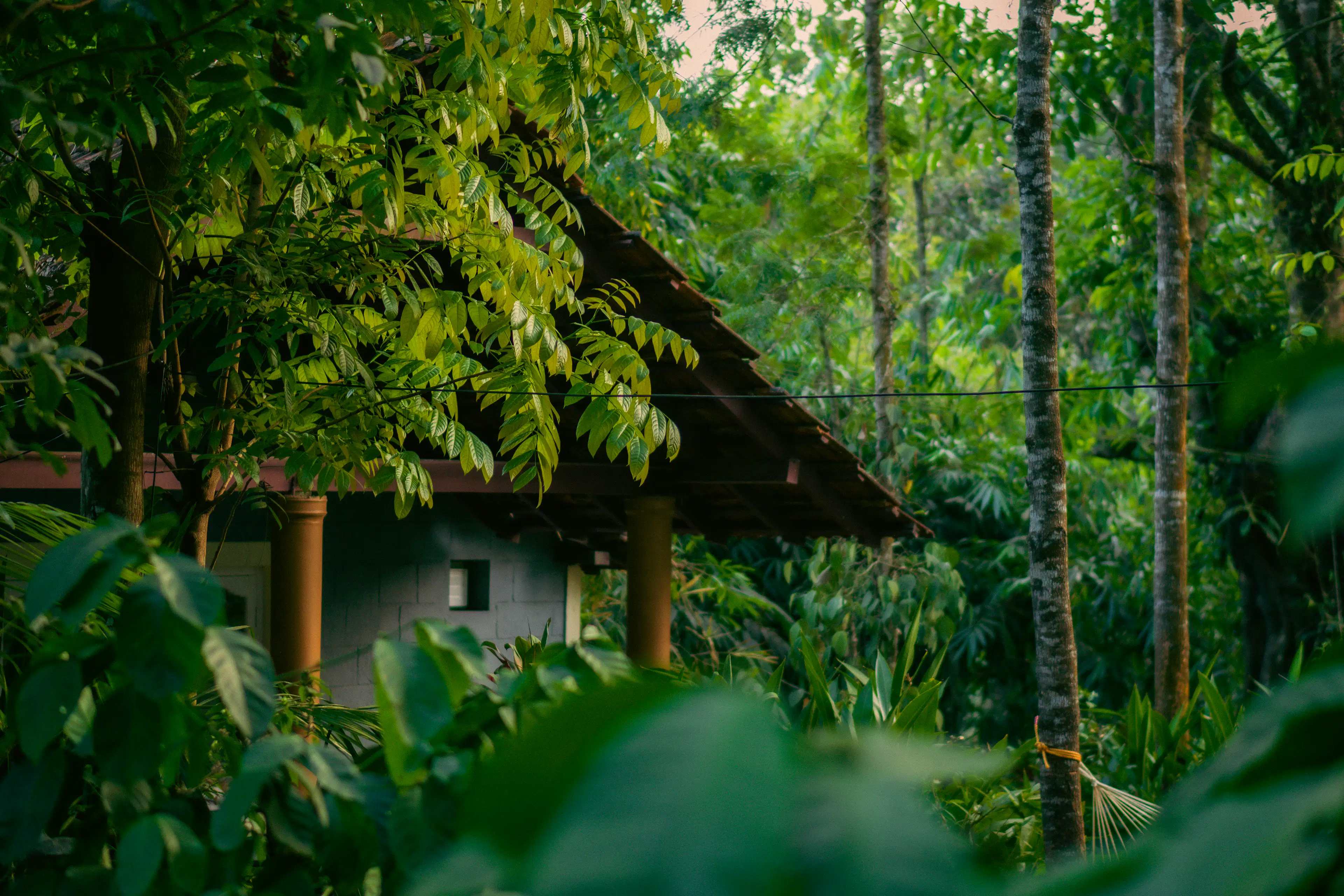 A tile-roofed house tucked into dense green jungle