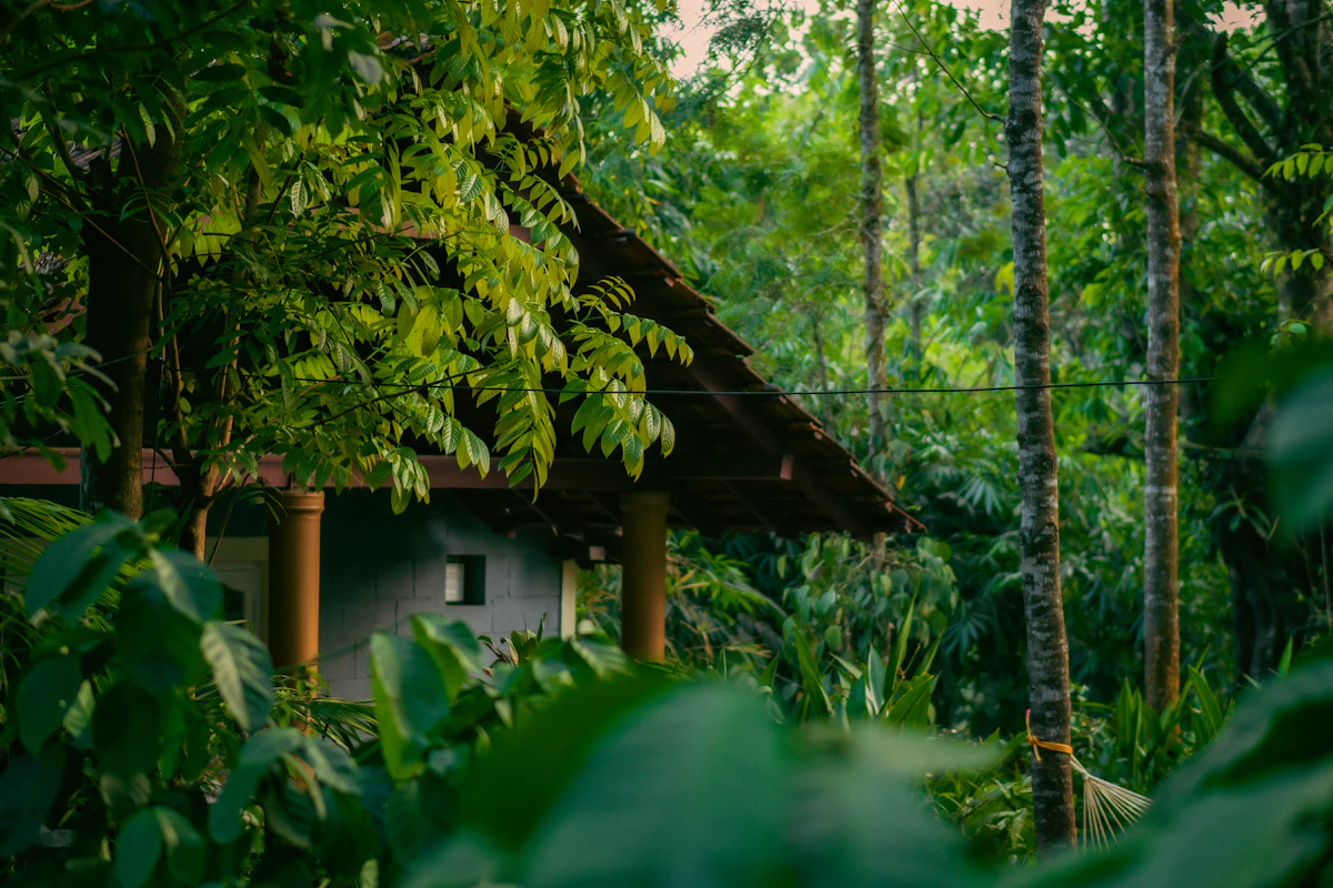 Wooden cottage among coffee plantations in mist