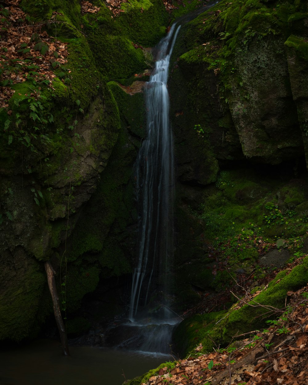 a small waterfall in the middle of a forest