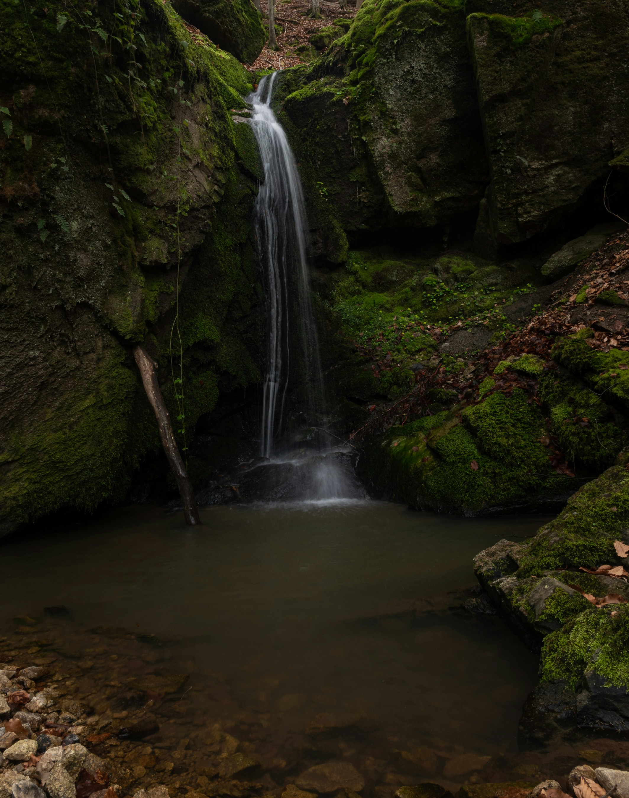 Photo by vjeblackbirdlion