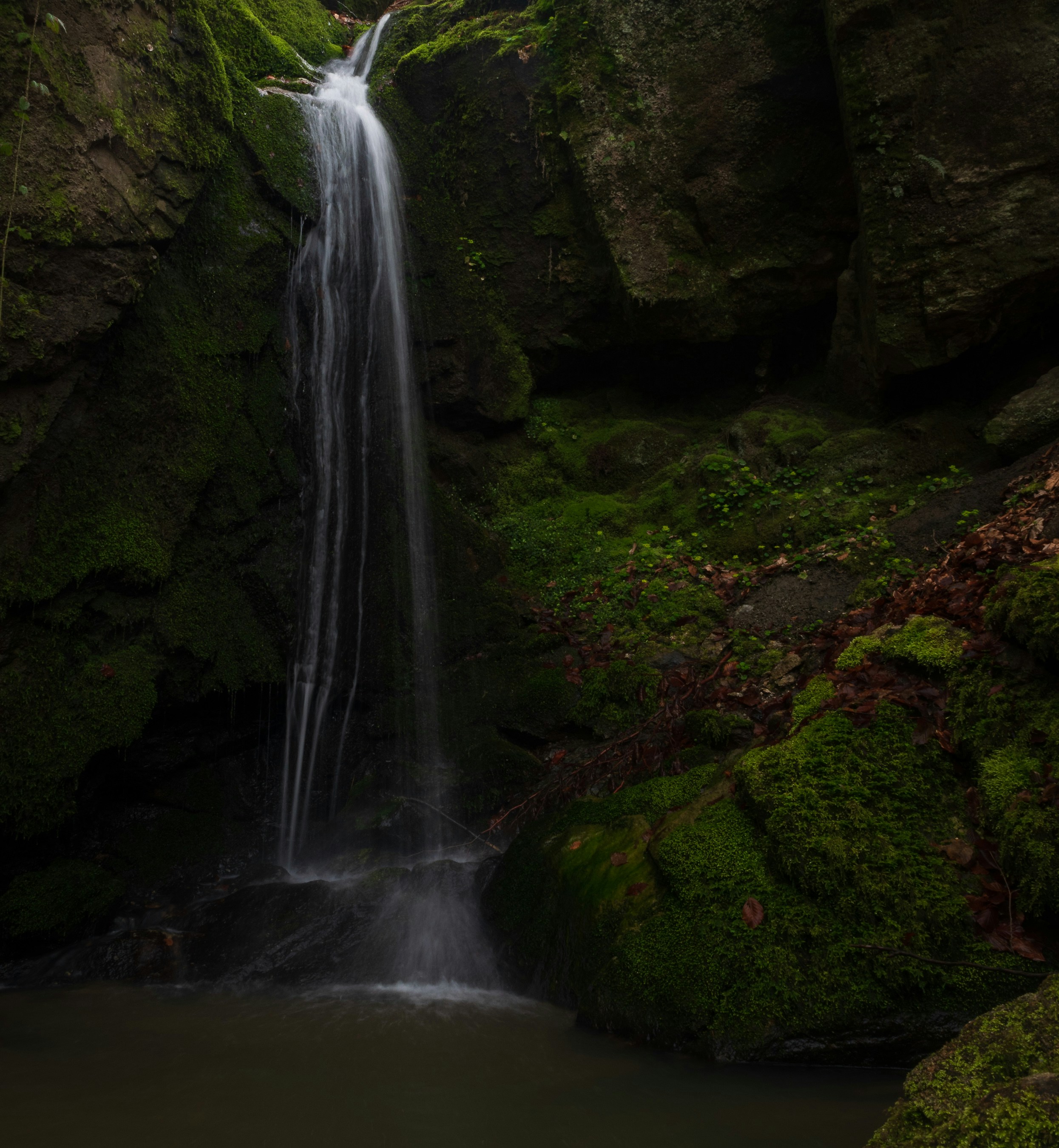 Photo by vjeblackbirdlion