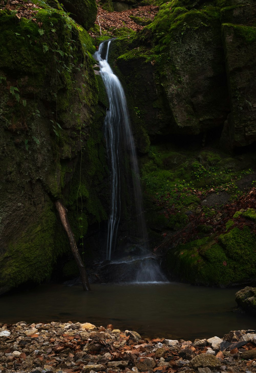 a small waterfall in the middle of a forest