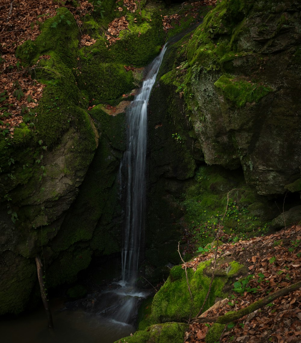 a small waterfall in the middle of a forest