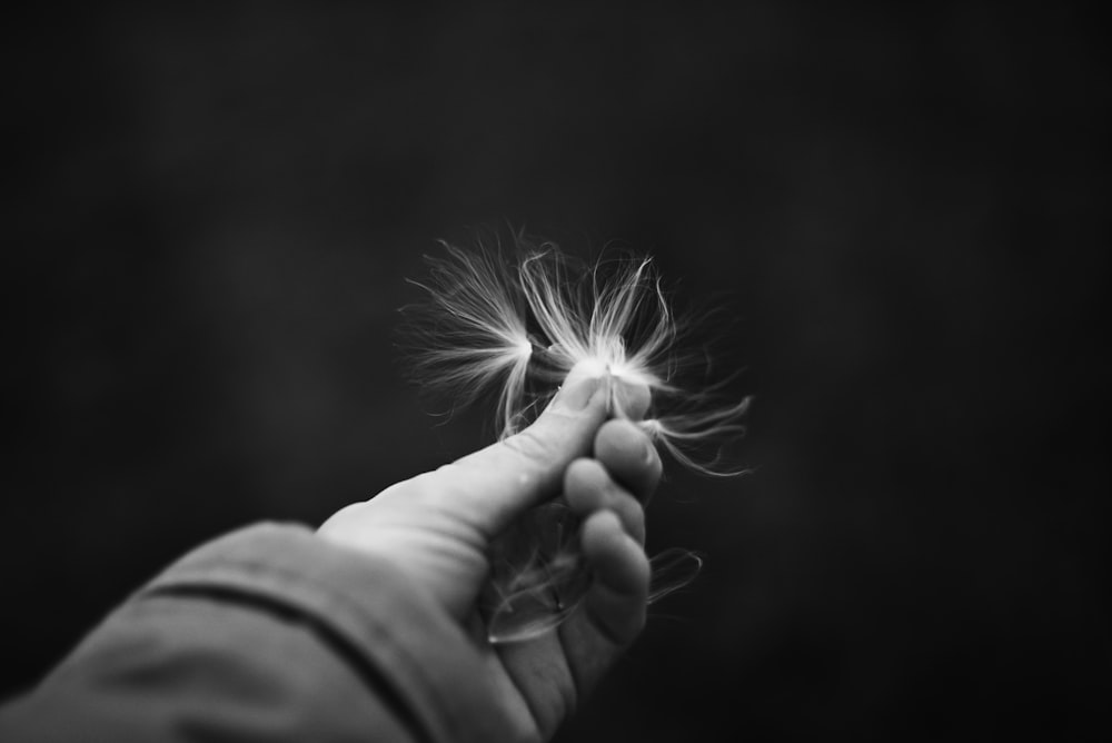 a person holding a dandelion in their hand