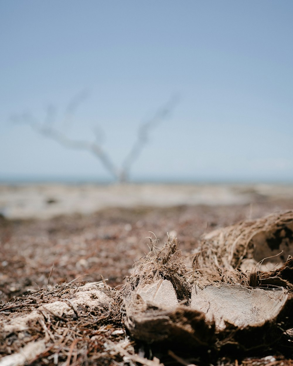 a piece of wood sitting on top of a sandy beach