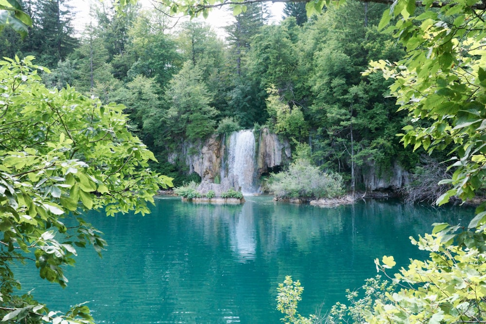 a large body of water surrounded by trees