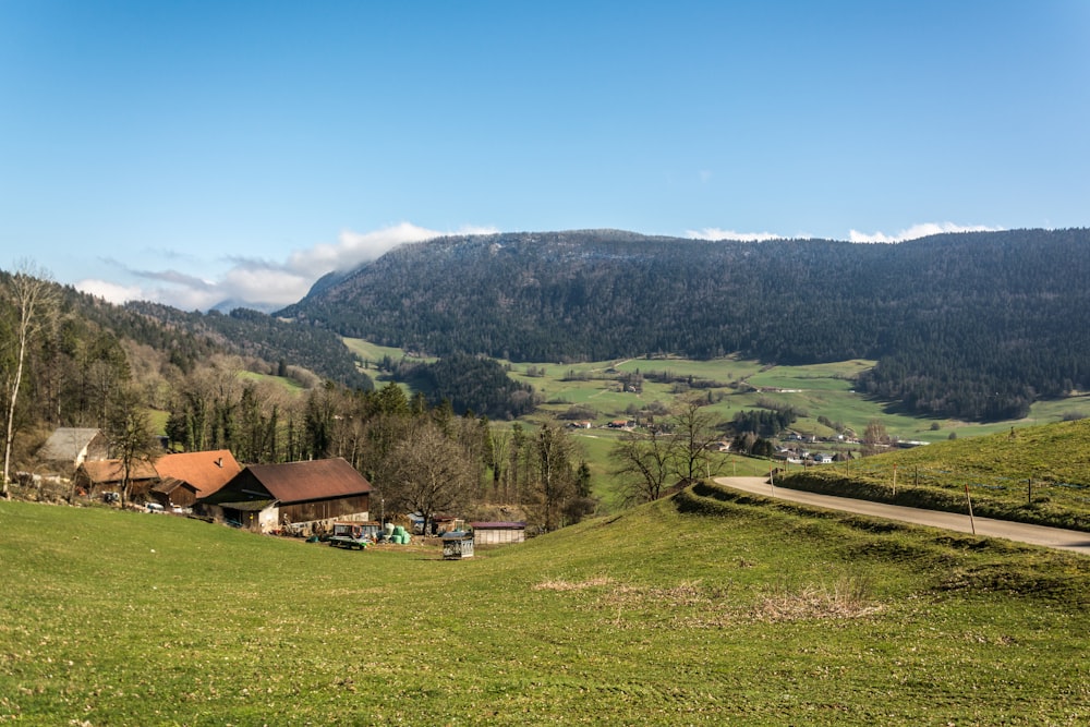 un champ vert avec une maison au milieu de celui-ci