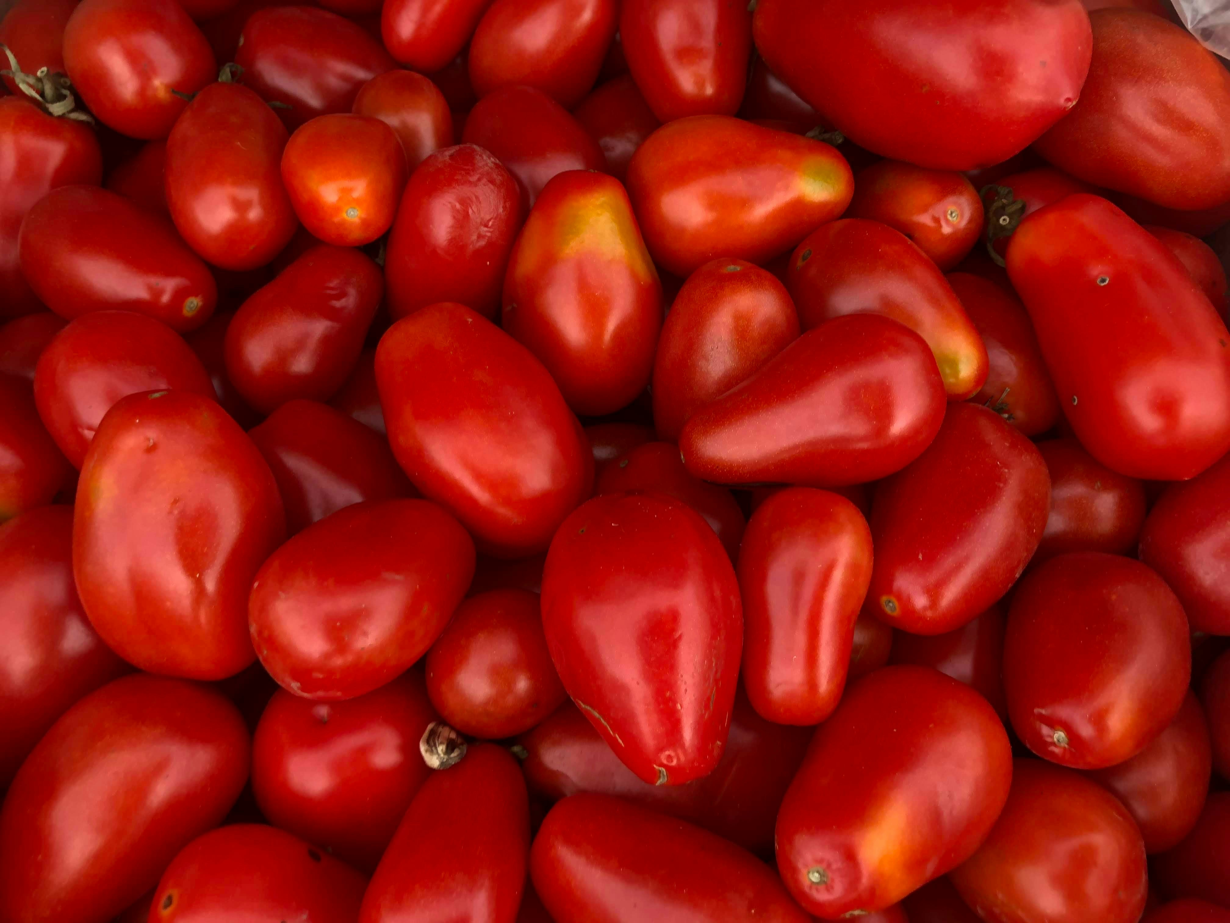 Photo by photosbyerrn