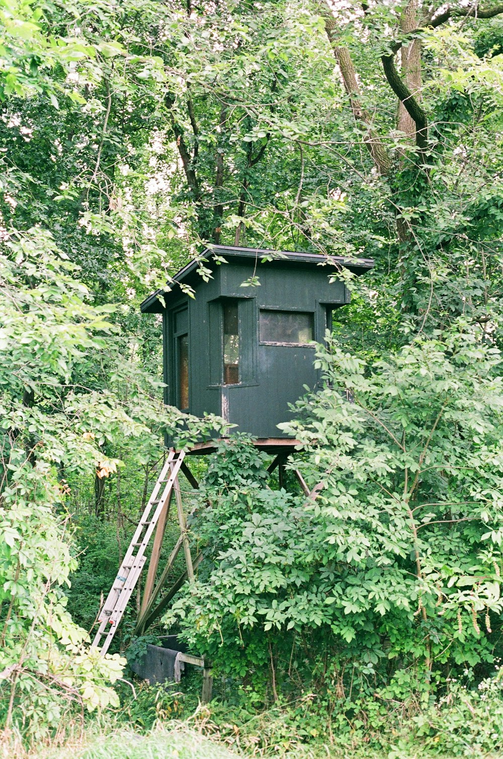 a small outhouse in the middle of a forest