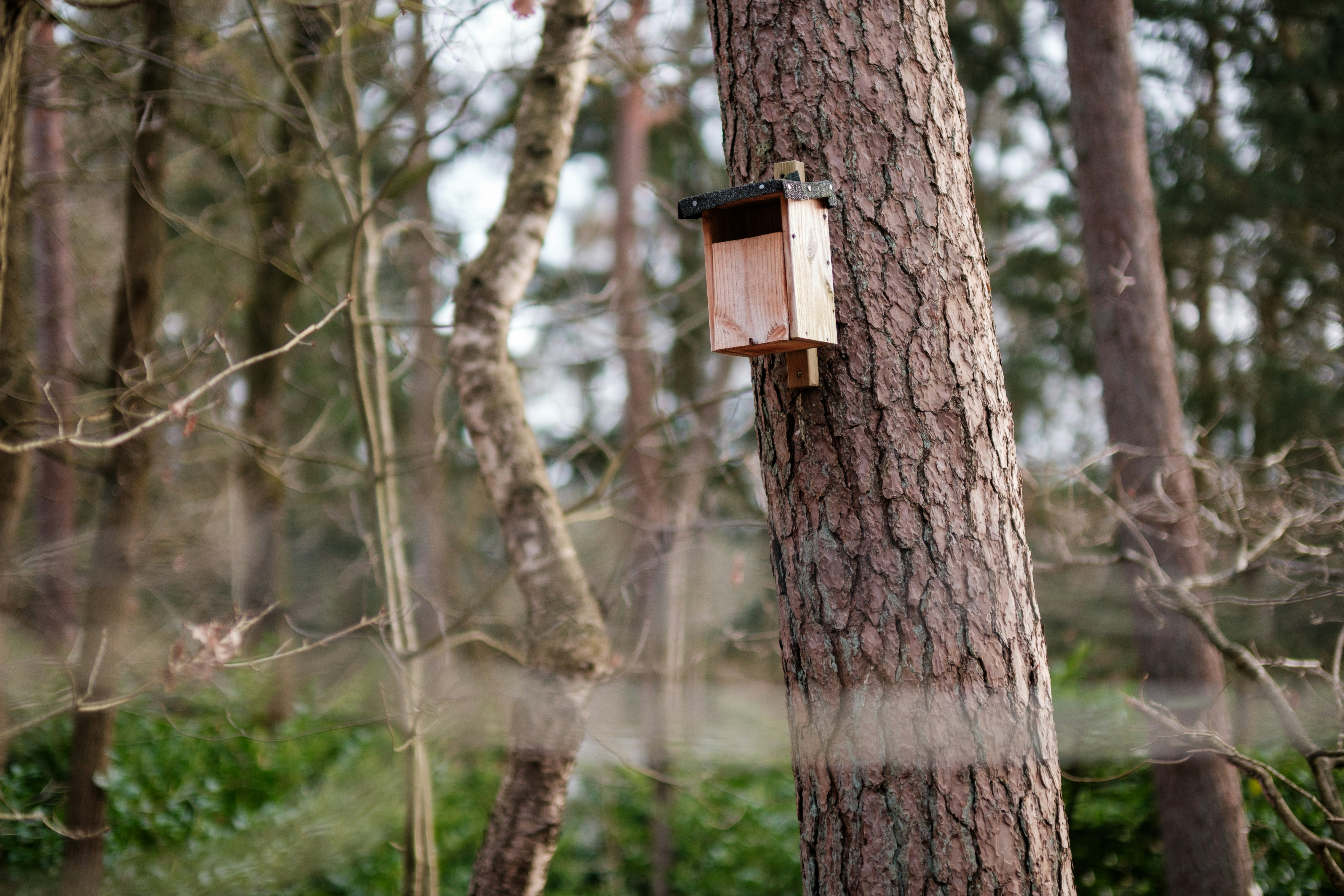 Photo by haberdoedas2