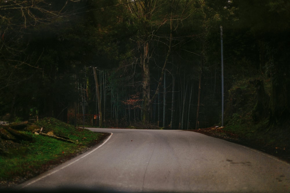 an empty road in the middle of a forest