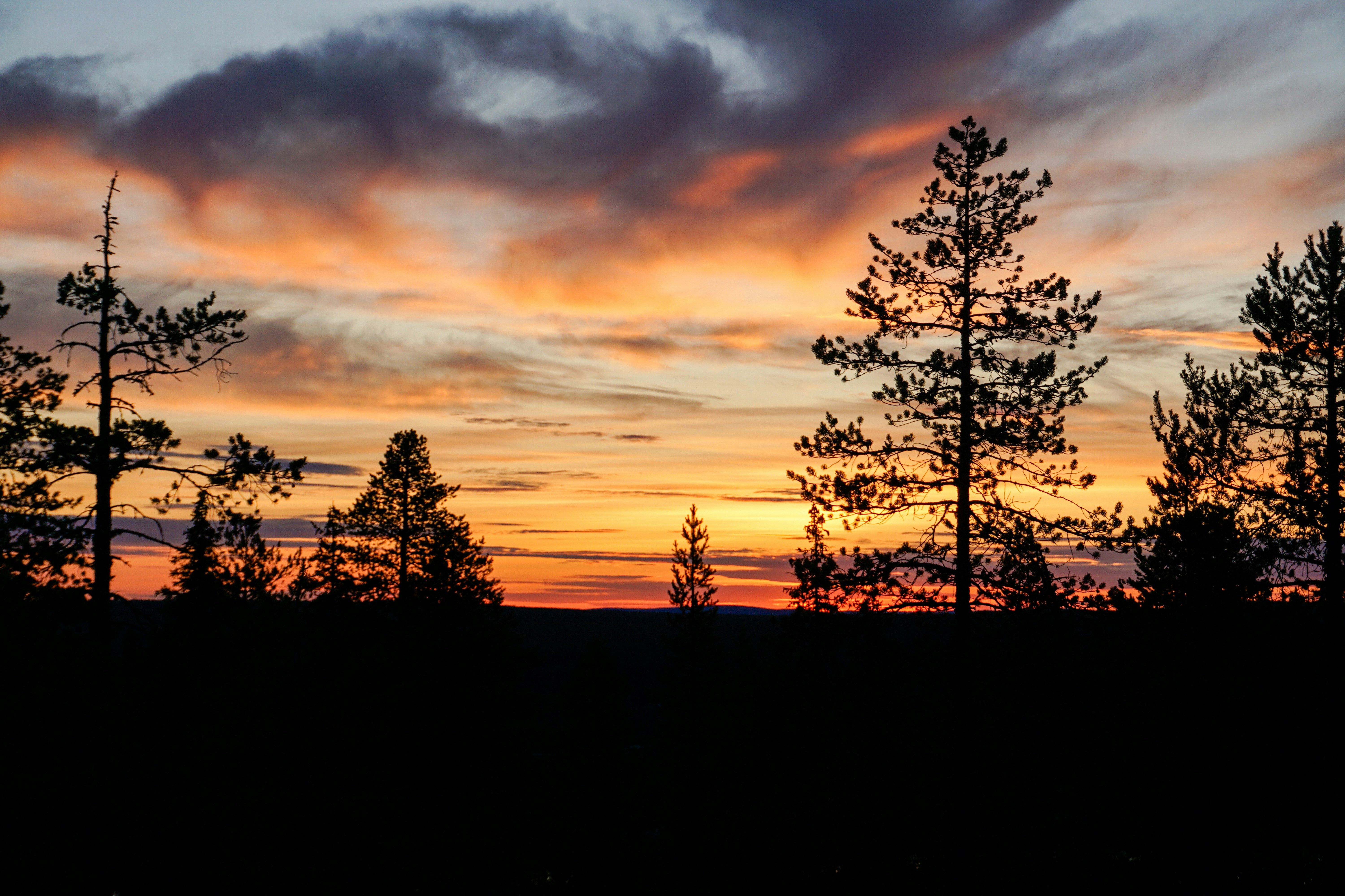 Photo by sarasgalerie