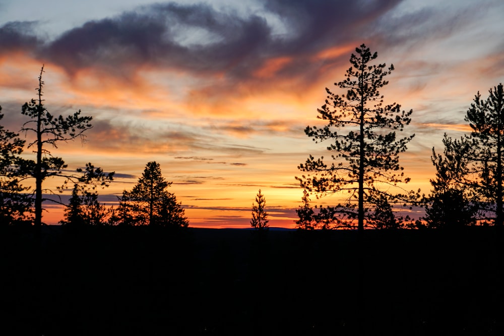 the sun is setting in the distance behind some trees